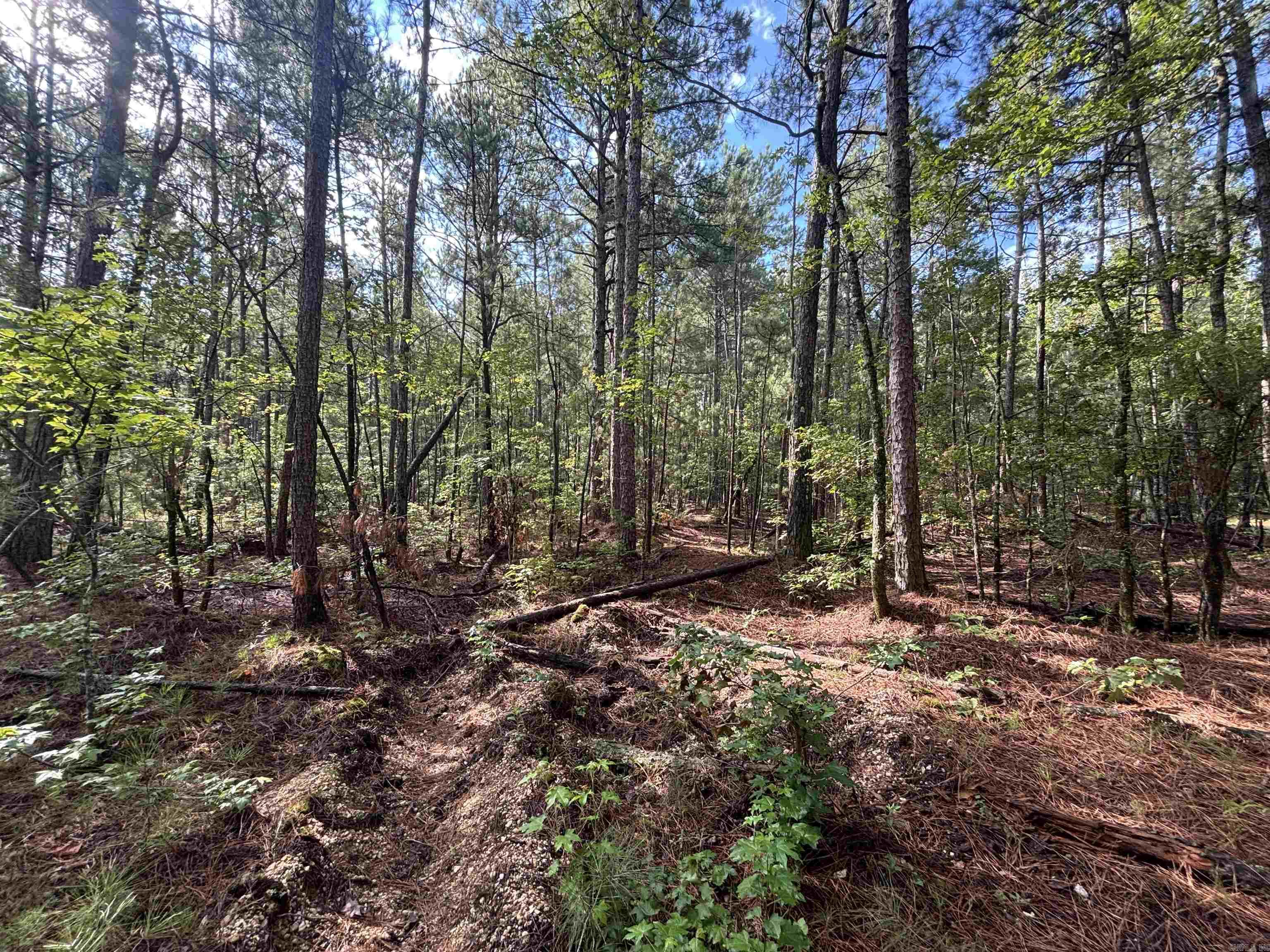 6.11 acres with no restrictions*additional acres available*public water available*mobile homes and livestock allowed*Sheridan Schools*preliminary perc test