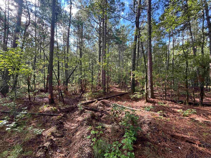 6.11 acres with no restrictions*additional acres available*public water available*mobile homes and livestock allowed*Sheridan Schools*preliminary perc test