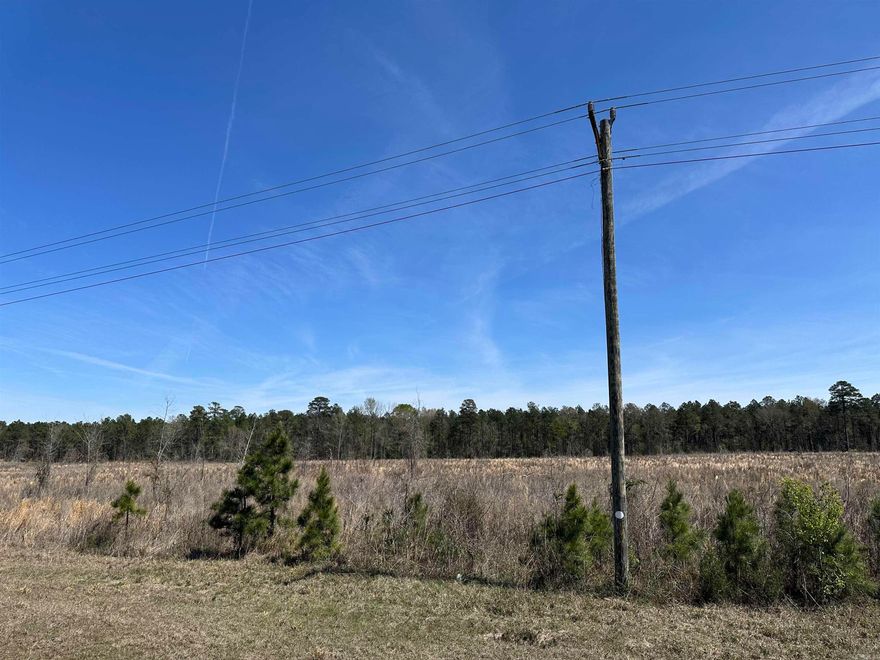 The Johnsville North Tract is in the southern part of Bradley County, Arkansas in the community of Johnsville.  Access to the property is good from Arkansas State Highway 8 . There are utilities (electric, rural water, and phone) along the highway that provide service.  This is a paved, state-maintained road. This tract was planted with loblolly pine in 2025. Whether you are looking for a place to build your dream home, convert the plantation to pasture and build a farm, keep as a timberland investment, or just looking for a small place to hunt or just ‘get away’, check on the ‘Johnsville North Tract’!
