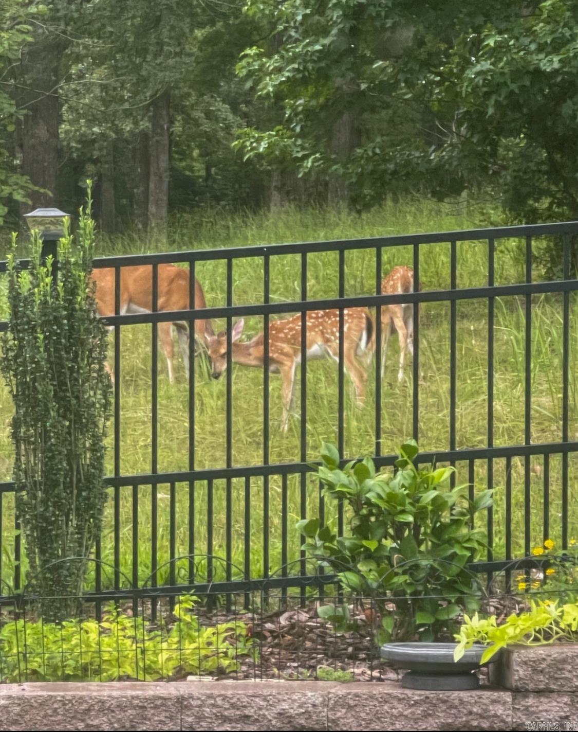 HURRICANE GARDENS - Residential