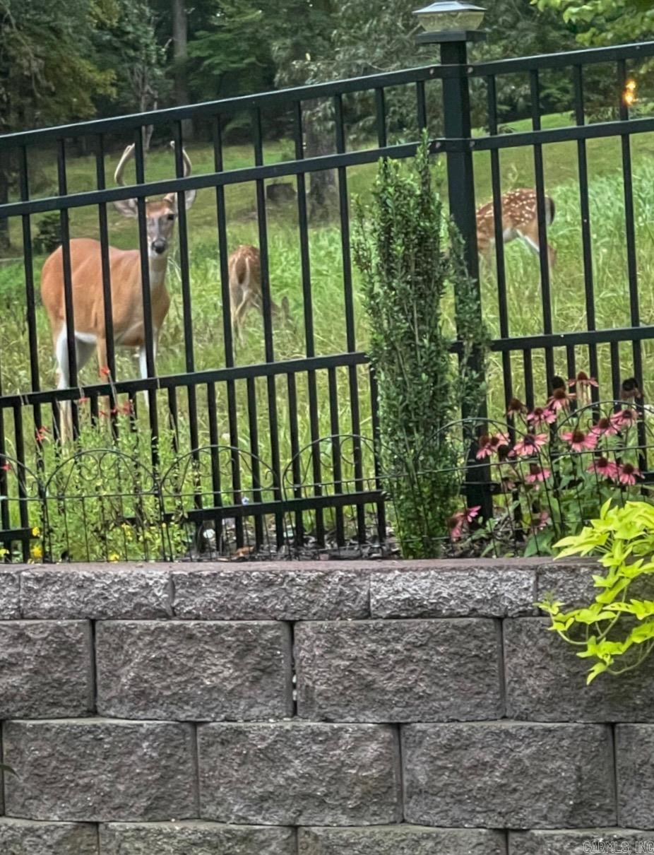 HURRICANE GARDENS - Residential