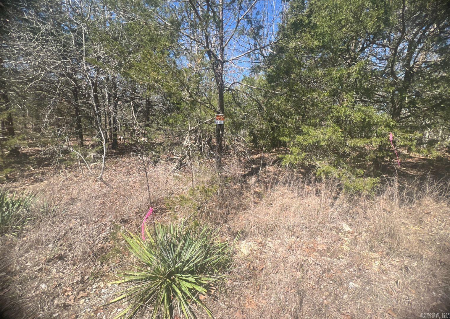 Owner financing is available- This wooded lot has LAKE VIEW and is 1 block from Diamond Lake where you can build your dream home and enjoy the beautiful, peaceful neighborhood of Horseshoe Bend. This lot offers a lake view with a gravel lane and no neighbors on the street! Perfect for privacy yet so many amenities and jobs the community has to offer just a mile away! Build in this beautiful community that offers so many. The Horseshoe Bend Water Department will have Water & Sewer information for you concerning water service and trash service. That number is 870-670-5885 or you can email at water@cityhsb.org The electricity is provided by North Arkansas Electric Cooperative. Their number is 870-895-3221. Horseshoe Bend has so much to do for the whole family like fishing, canoeing, golfing, bowling, swimming, etc. Diamond Lake & Crown Lake are a 5-minute drive from these lots! Crown Point Resort is also 5-minutes offering local jobs and entertainment! Horseshoe Bend is also ATV friendly, with a permit. They have their own law enforcement, a private airport/airport strip, recycling center, and TELECARE program for the elderly. All within 10-minutes!