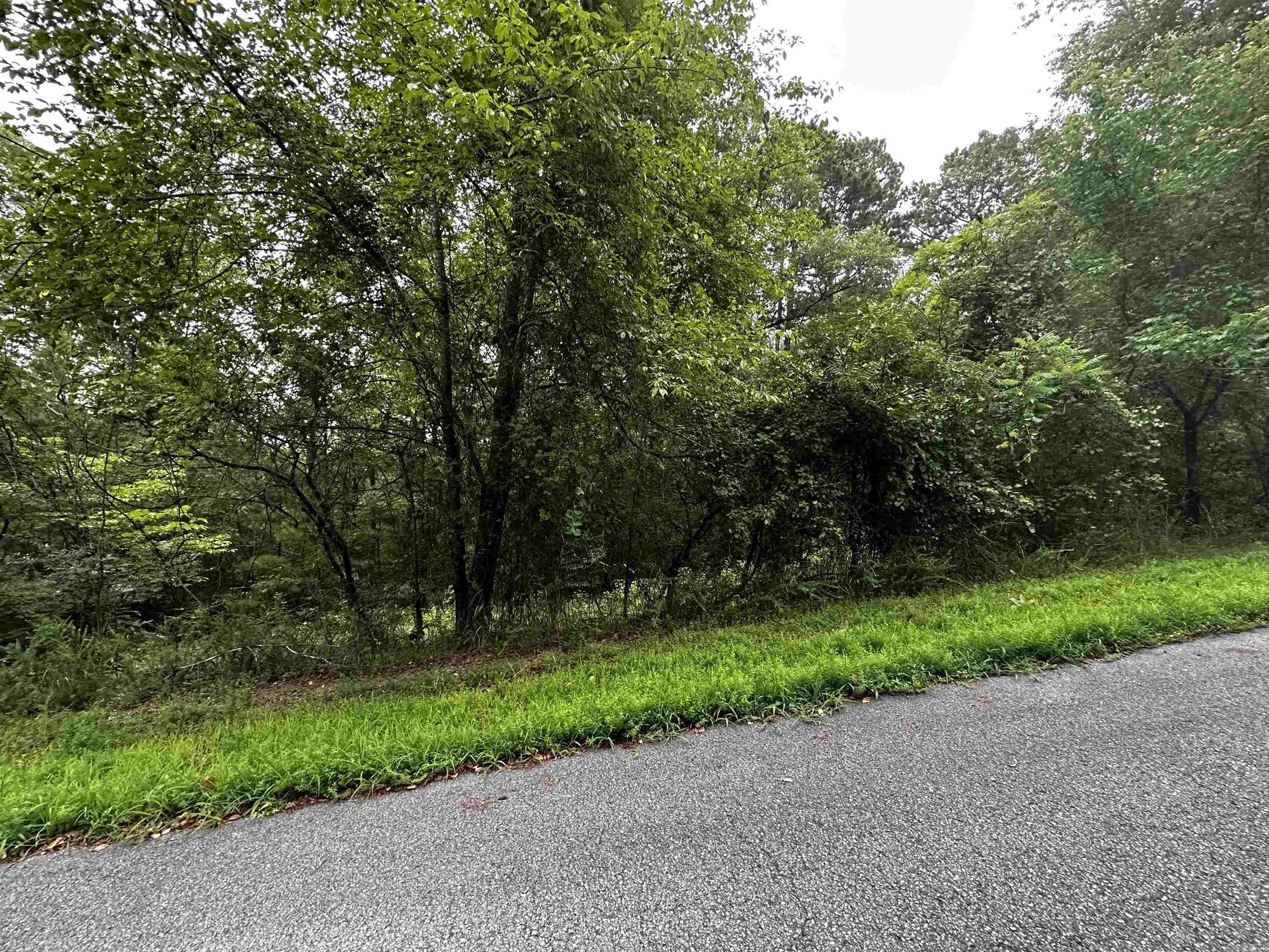 Great Neighborhood to build your dream home at the lake. Undergrounds utilities already in place! Mineral rights do not convey.