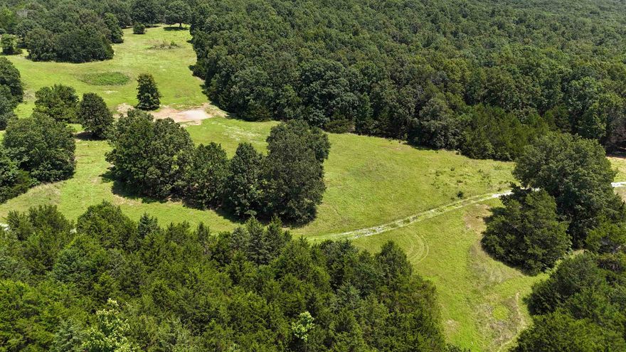 Discover 86 acres of natural Ozark beauty in Franklin, Arkansas! This wooded tract offers a peaceful, private setting with mixed timber, rolling terrain, and abundant wildlife—perfect for hunting, hiking, or your dream cabin in the woods. A scenic pond adds to the charm, attracting deer, turkey, and small game, making it a recreational paradise or future homestead. With plenty of room to roam. Whether you're looking for a weekend getaway, investment, or full-time escape into nature, this diverse tract is a rare find in the heart of the Ozarks. Don’t miss your chance to own your own slice of the Arkansas wilderness