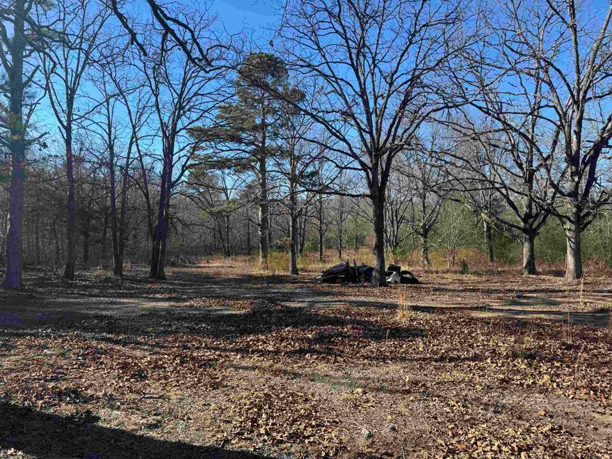 This vacant land is located directly on Highway 71 and offers a practical mix of location and existing features. The property includes a pond and already has electricity, a private well, and access to public water on site, which eliminates much of the upfront work typically required for raw land. The highway frontage provides direct access and makes the property easy to reach. The land offers open, usable space with a simple layout that allows for flexibility in how the property is used. The pond adds an additional feature that enhances the overall functionality of the property. With utilities already in place, this property is ready for someone to take ownership and move forward with their plans. Properties with this combination of highway frontage, water features, and existing utilities are not common, making this a solid opportunity for anyone looking for land with essential improvements already available.