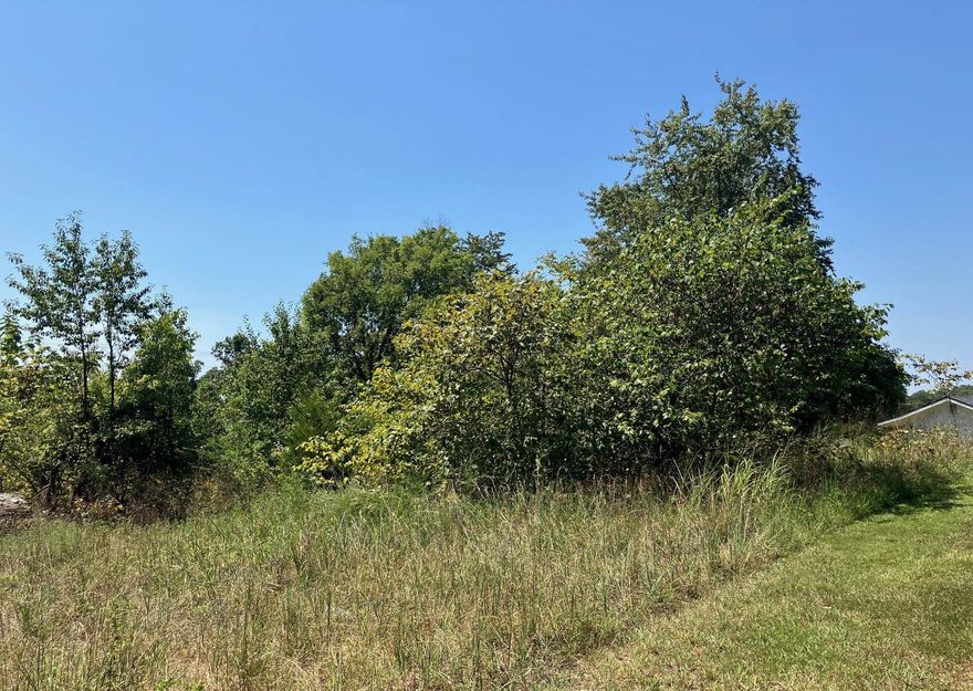 Prime Highway Frontage & Versatility  Discover the perfect canvas for your next venture on this 0.94-acre lot ideally situated near the charming town of Hardy, Arkansas. Boasting excellent visibility and mainly level terrain, this property offers a seamless transition for those looking to establish a new commercial business or a private residential site. The land features a mix of cleared areas and mature shade trees, providing a balanced landscape that is ready for development while maintaining a touch of natural beauty. Ready-to-Use Utilities & Location One of the standout features of this property is the existing well already on-site, offering immediate value and utility. With the potential for septic availability and easy access to power, this lot is exceptionally well-suited for a mobile home, tiny house, or commercial storefront. Whether you are looking to capitalize on the local tourism traffic near the Spring River or seeking a quiet, accessible place to call home, this versatile property provides the infrastructure and location to make your vision a reality.