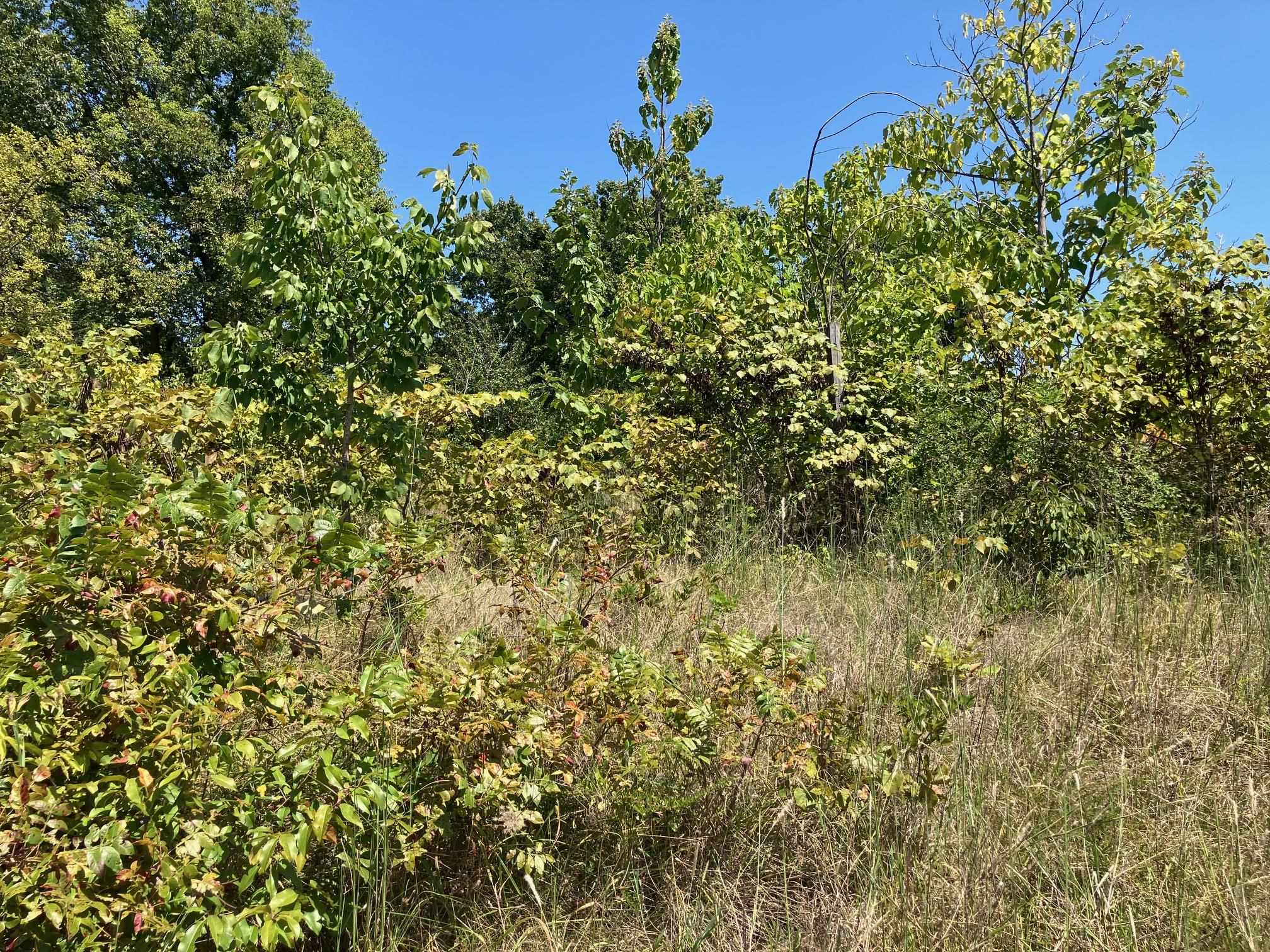 Not in Subdivision - Land