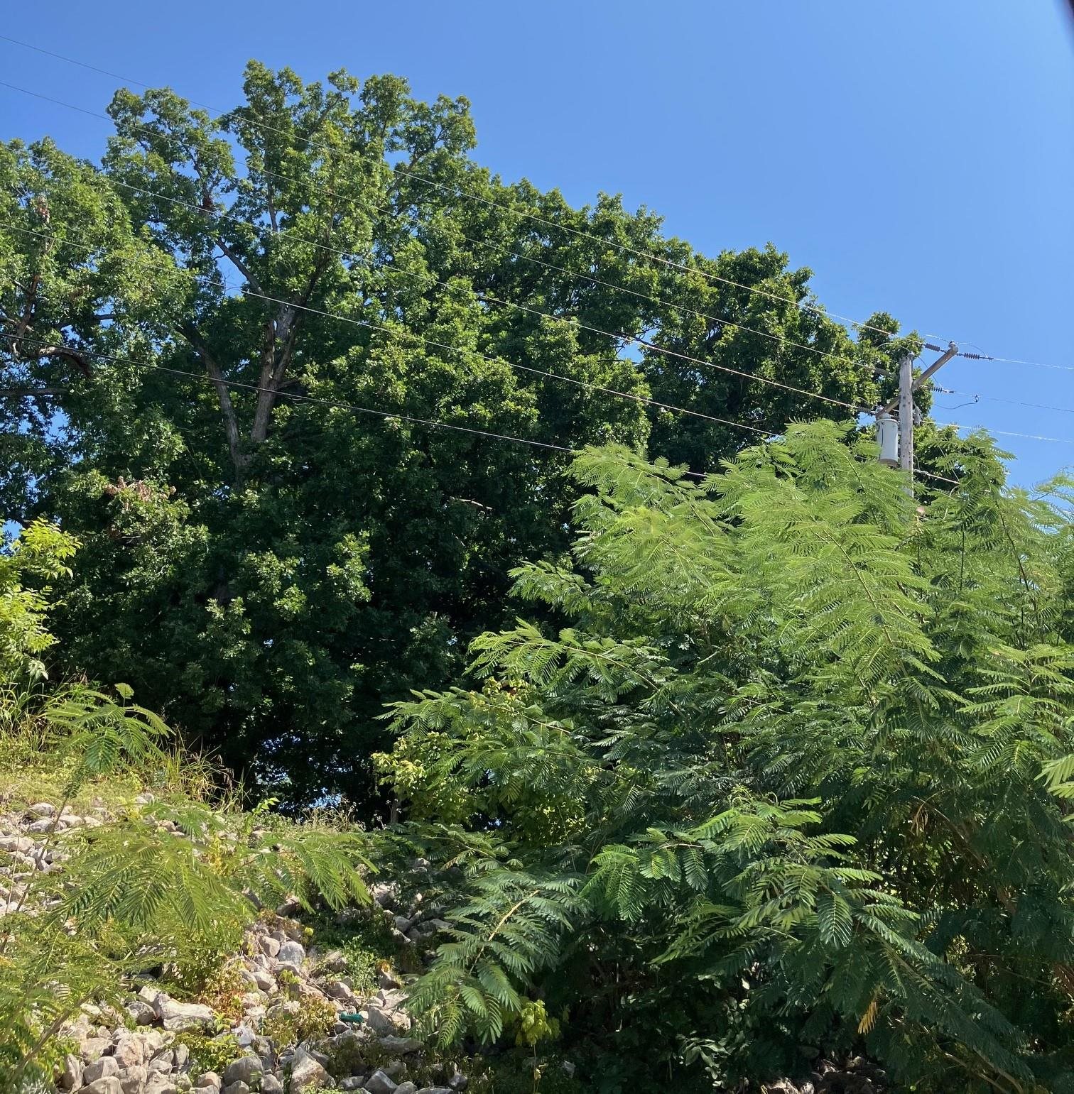 Not in Subdivision - Land