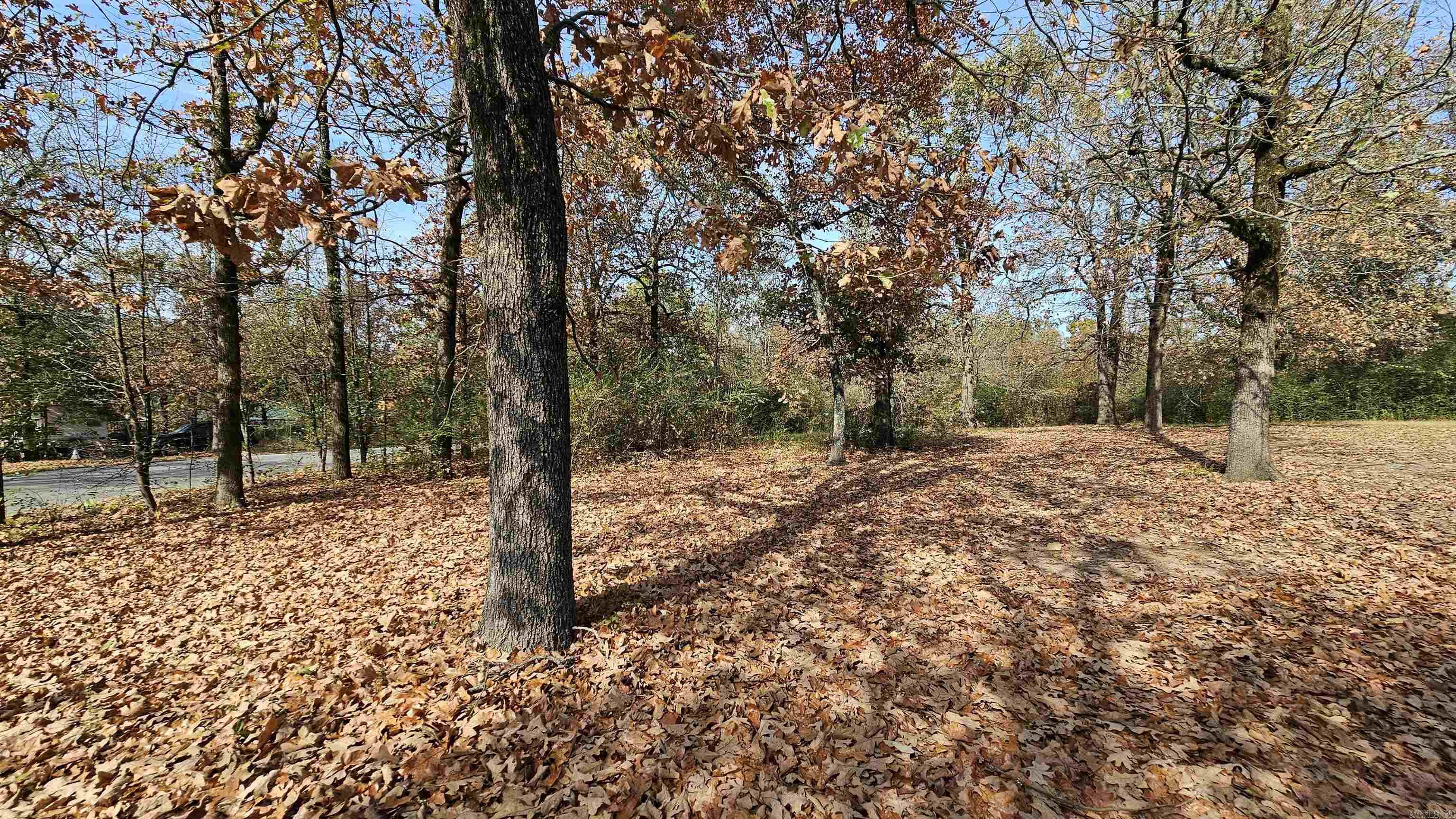 Gold Lake Estates Phase II - Residential