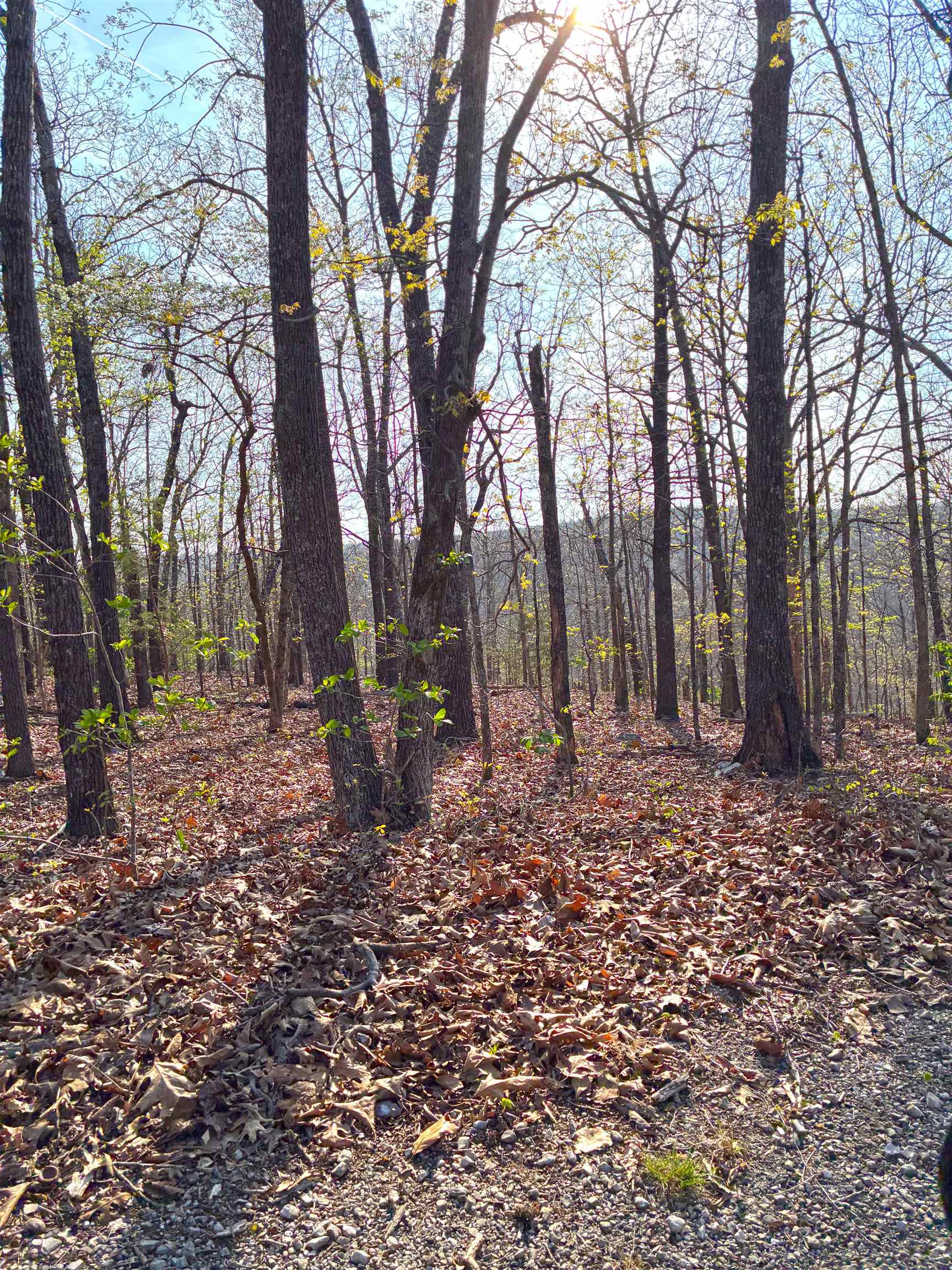 Seminole Fourth - Land