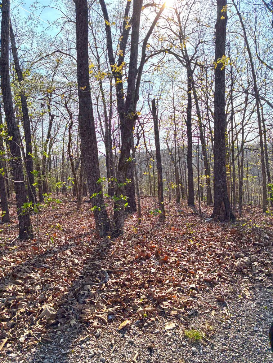 Unimproved residential lot in Cherokee Village, Sharp County, Arkansas.