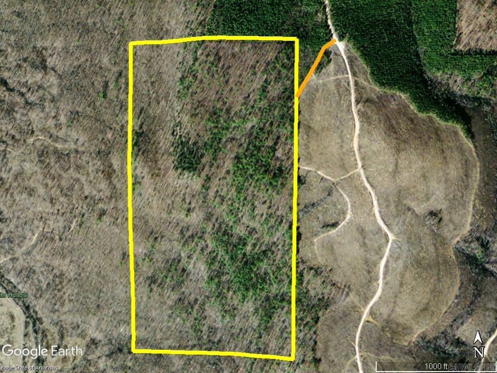 80-Acre Timber Tract with Stunning Mountain Views & Prime Off-Grid Potential. Looking for the perfect escape from the hustle and bustle of modern life? This secluded 80-acre tract of mature timberland offers the ideal setting for your off-grid dream cabin or homestead. Whether you're seeking peace, privacy, or prime recreational land, this property delivers. This property is ideal for building a scenic cabin or home. Loaded with valuable rock, mature hardwood & pine trees. Whether you're looking to harvest now or in the future, the timber adds both beauty and investment potential. Choose between a scenic mountain and valley view building site tucked deeper into the property or a more level area closer to the north boundary. Lots of wildlife make this a hunter's paradise or a nature lover’s retreat. A small wet-weather stream runs through the land with signs it may be spring-fed, offering a possible water source with further investigation. Elec is approximately 3,200 feet away. Extension would require permission to cross neighbors. Secluded but accessible, this is a rare opportunity to own a large tract of raw, natural land with the potential to create a legacy property.