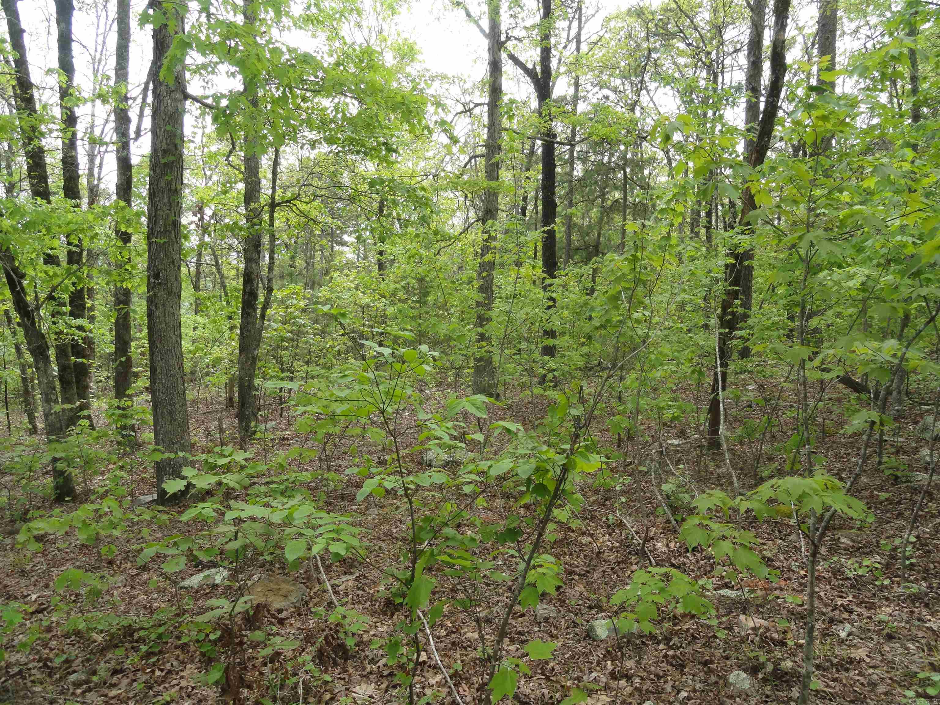 Metes & Bounds - Land