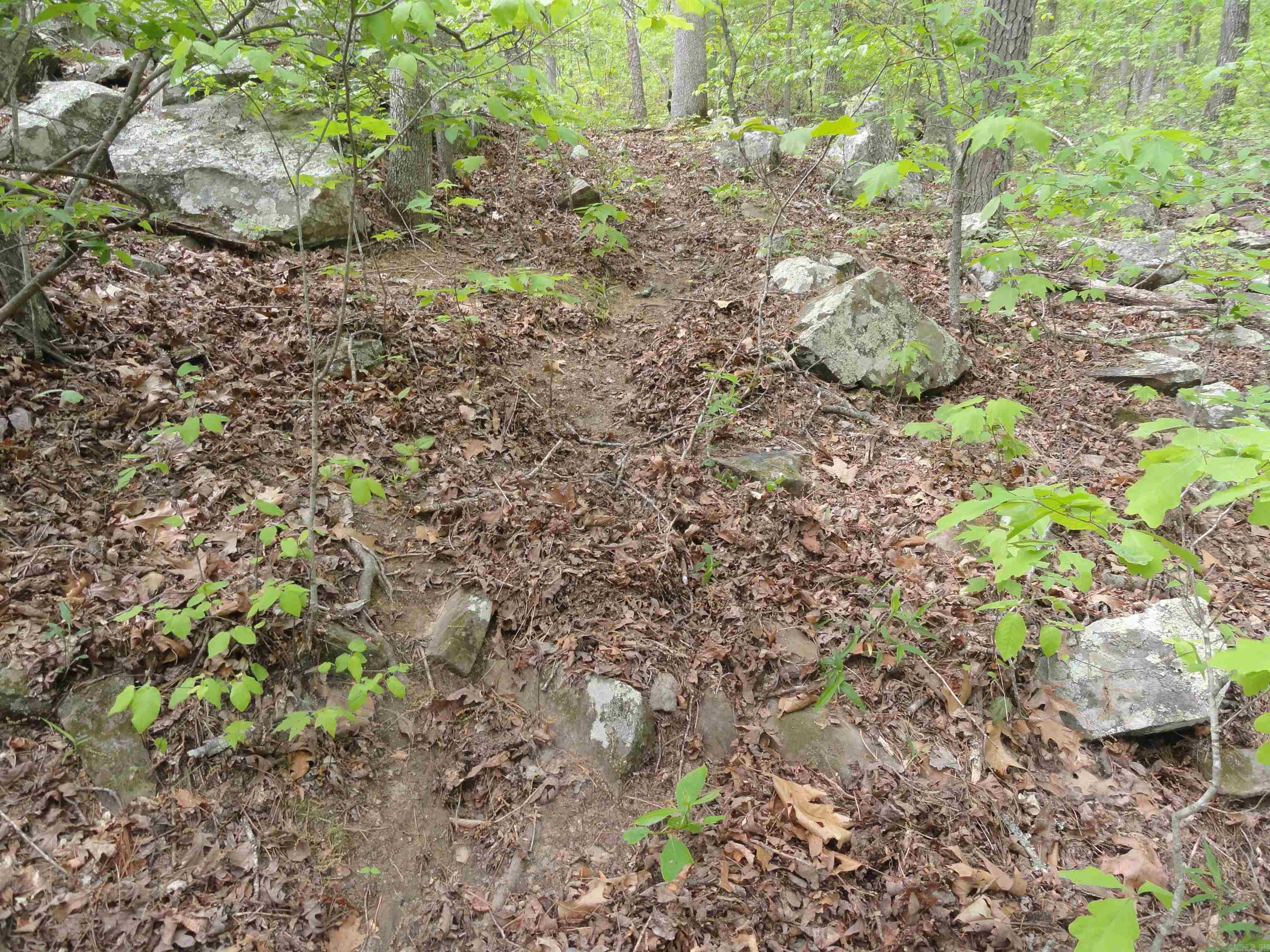 Metes & Bounds - Land