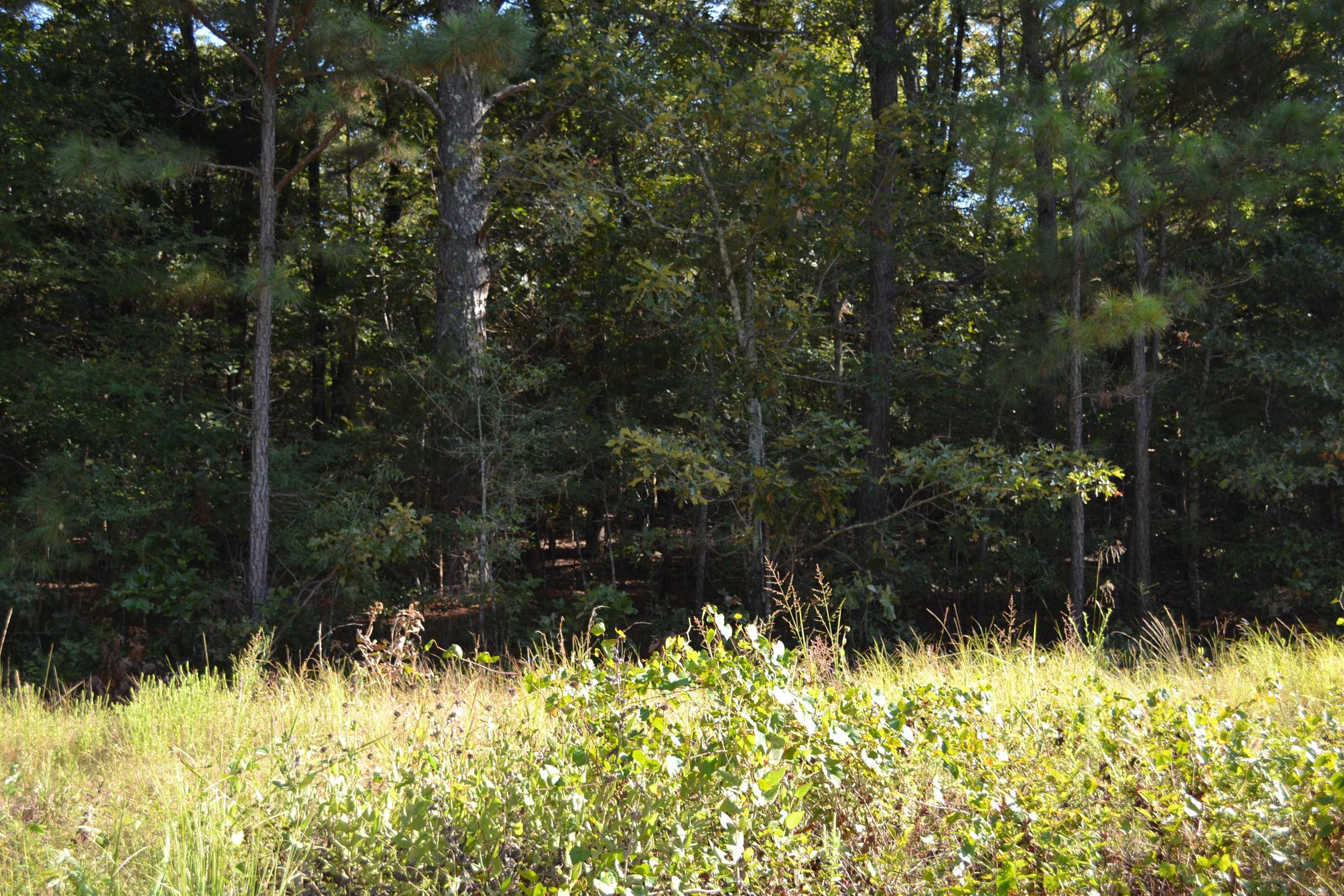 VERY NICE COUNTRY LOT
