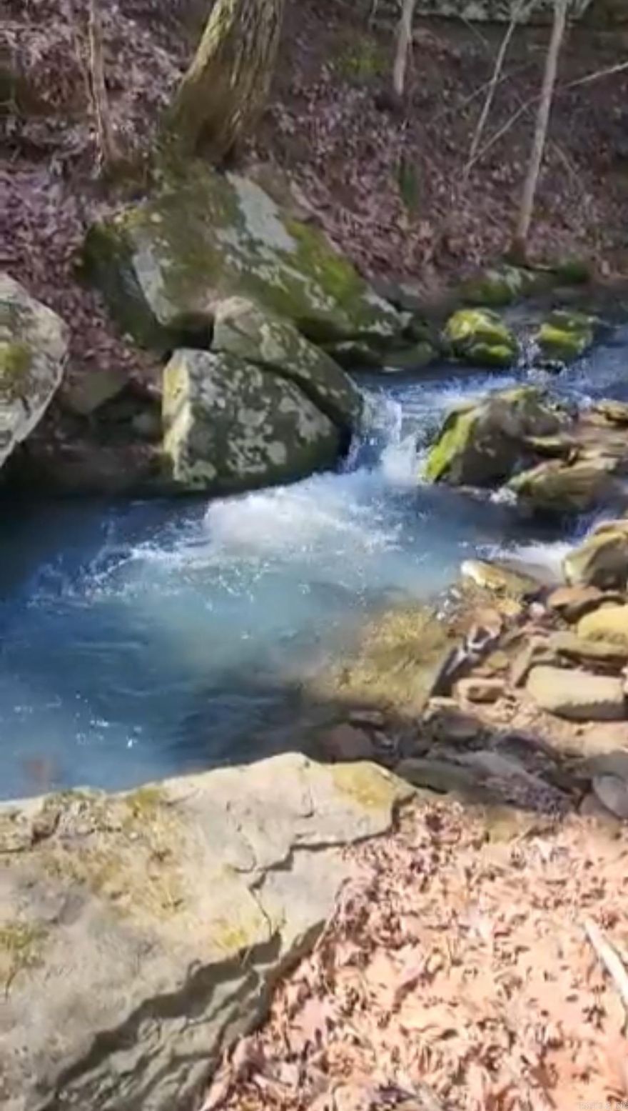 Nestled on 63 secluded acres, this breathtaking property offers a rare combination of natural beauty and modern conveniences. A brand-new 30x30 shop, already plumbed for a full bathroom, provides endless possibilities. With utilities already on site, including electric, septic, and a private well, you'll have everything you need to create your dream retreat. The land features a charming spring-fed creek, a fully stocked pond perfect for fishing, and a variety of ornamental trees that enhance the serene atmosphere. Mostly timbered, the property is a haven for wildlife and outdoor enthusiasts, while the expansive views create a picturesque backdrop for any future build. Don't miss your chance to own a slice of nature's finest, schedule your tour today!!