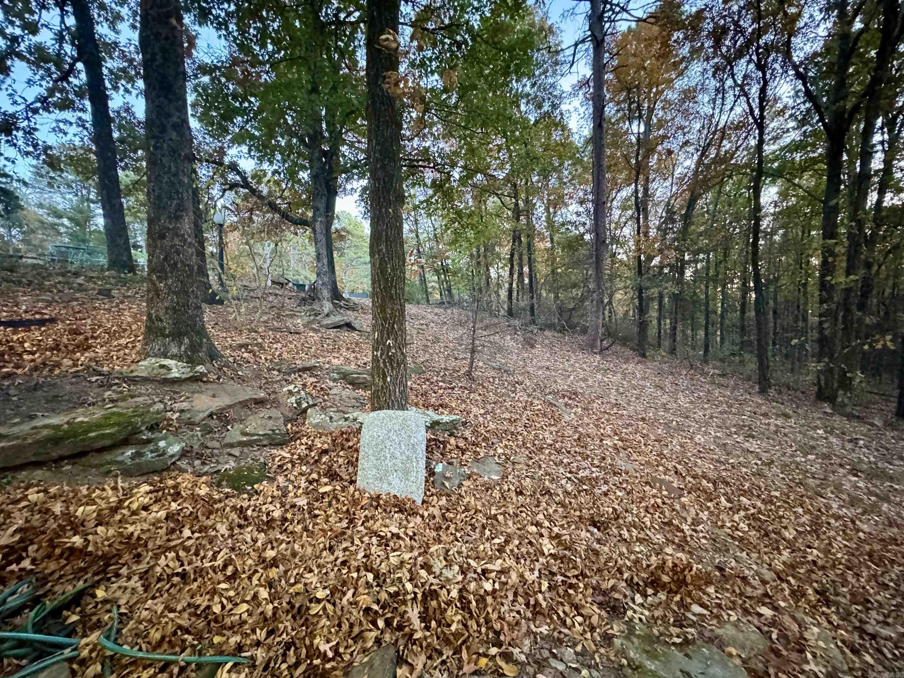 BRENTWOOD - Residential