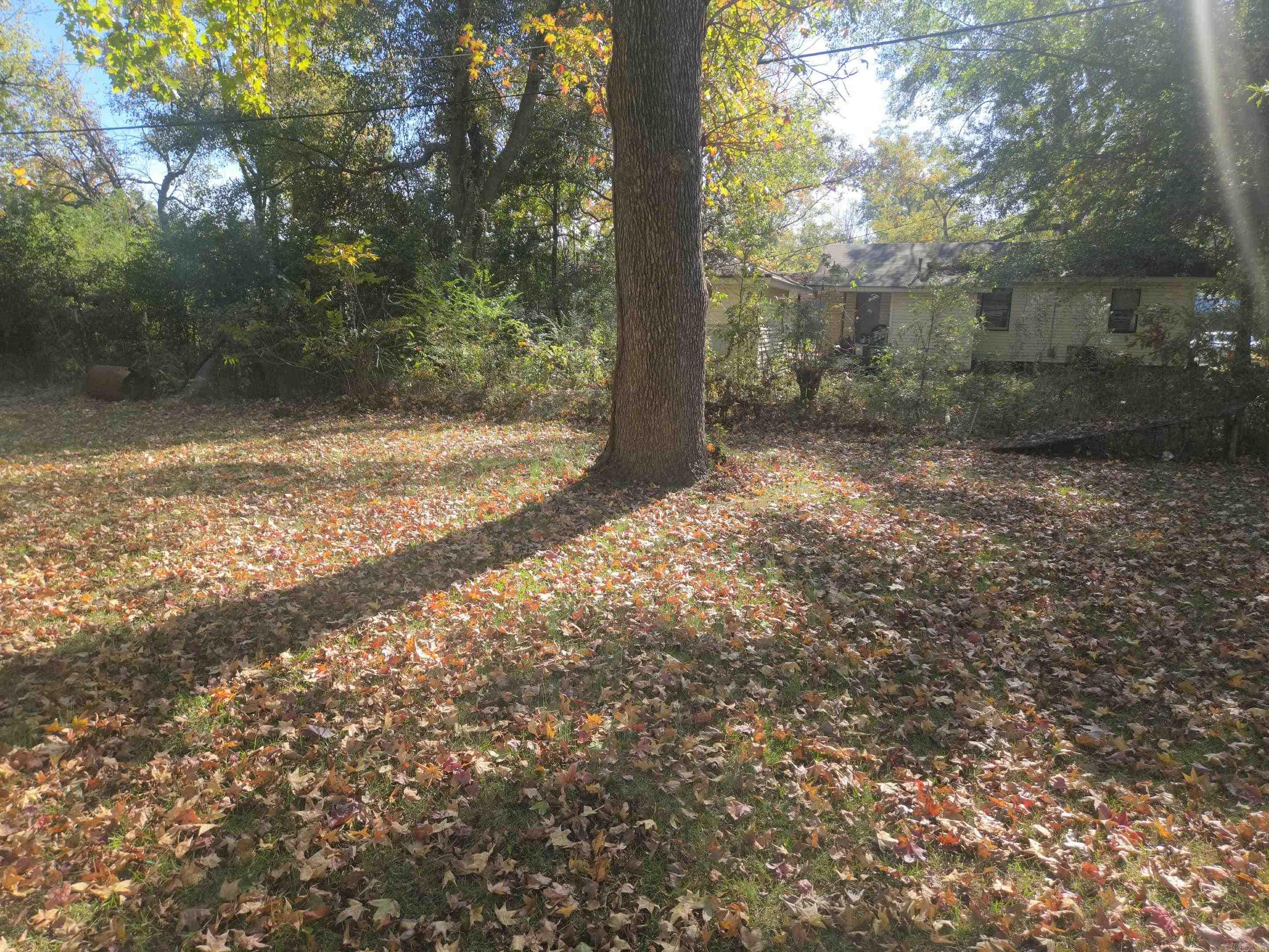 SHADY GROVE - Residential