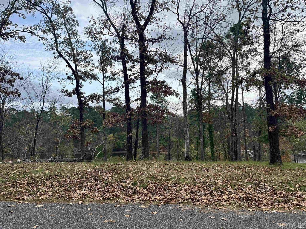 Indian Lodge Lake Estates #1 - Land