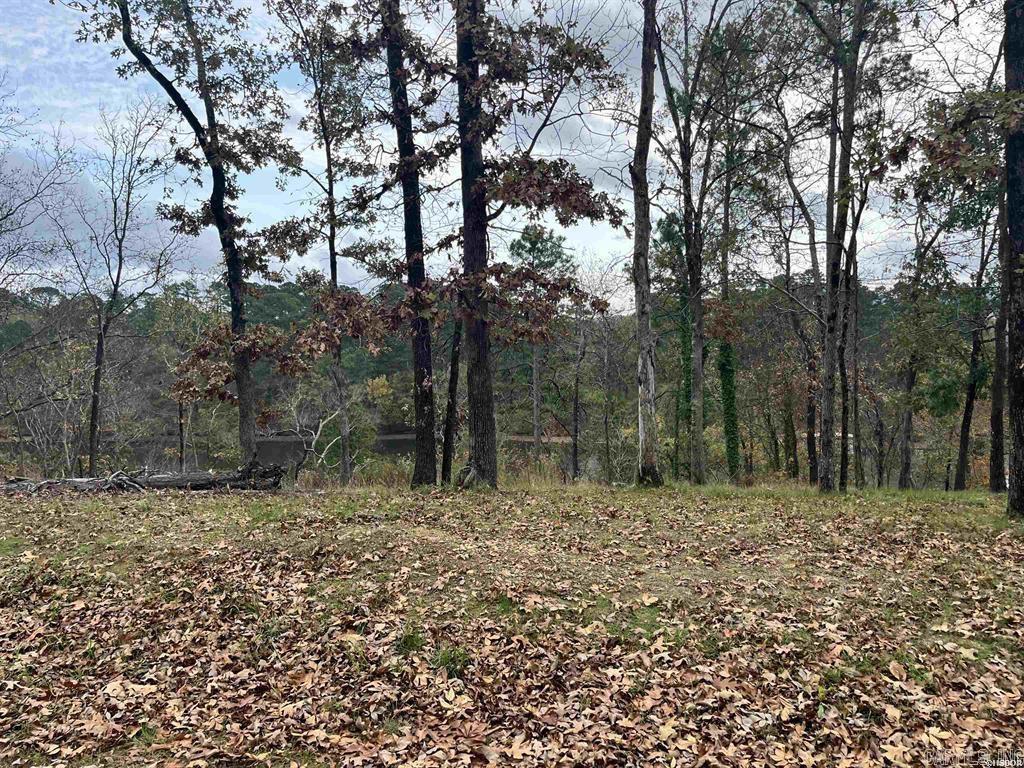 Indian Lodge Lake Estates #1 - Land