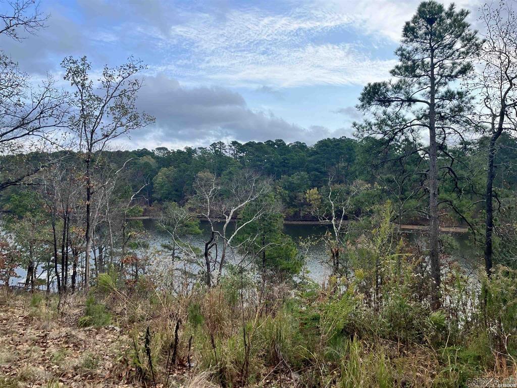 Indian Lodge Lake Estates #1 - Land