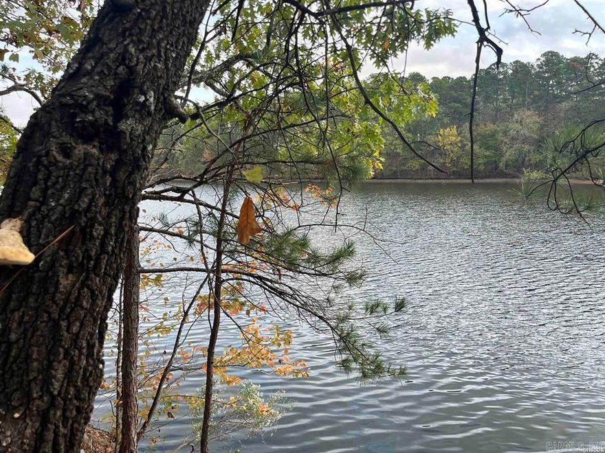 Are you looking for a lake front property that's out of city limits and offers year round water with amazing views? If so this is your lil piece of Heaven! Enjoy the beauty of Lake Hamilton year round! Deep water on the Little Mazarn! It's a fisherman's dream! Approximately 10 minutes to Bypass and convenient to everything by land and water! Call your favorite agent today to schedule a showing!