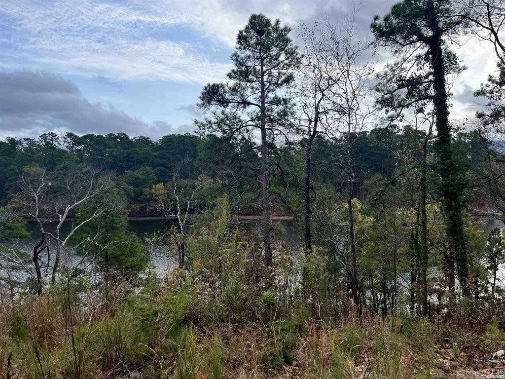 Indian Lodge Lake Estates #1 - Land