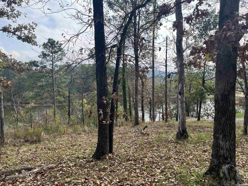 Indian Lodge Lake Estates #1 - Land