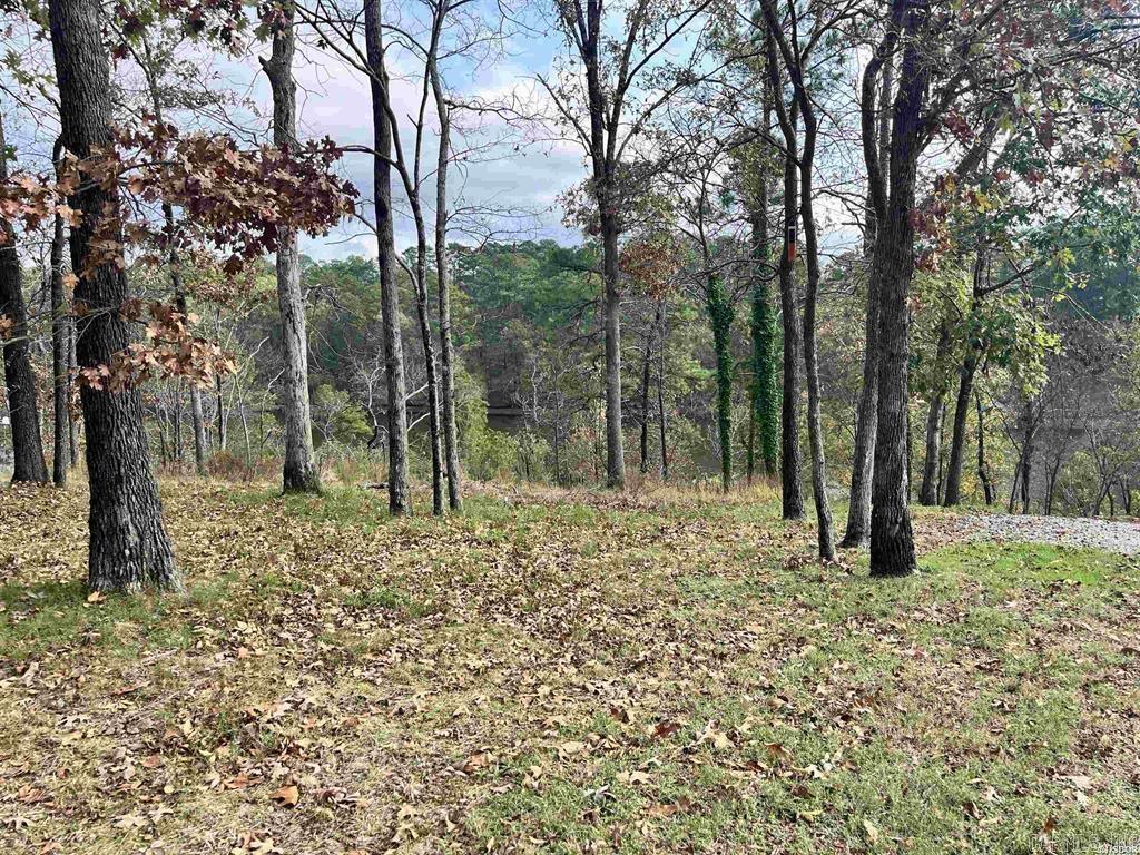 Indian Lodge Lake Estates #1 - Land