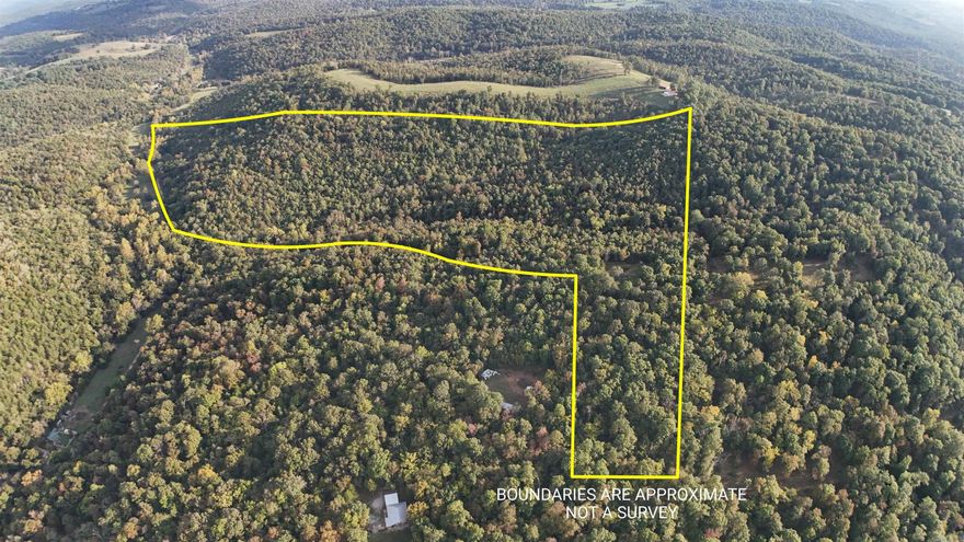 Discover a unique opportunity to own a secluded acreage that offers breathtaking mountain top views and an idyllic spring country living experience. This expansive property provides ample space for outdoor activities, gardening, or simply enjoying the tranquility of nature. The landscape is characterized by rolling hills and mature trees, creating a serene backdrop for your future home. This property is perfect for those seeking a peaceful retreat, whether you're looking to build your dream home or invest in land with stunning vistas, this acreage presents endless possibilities.