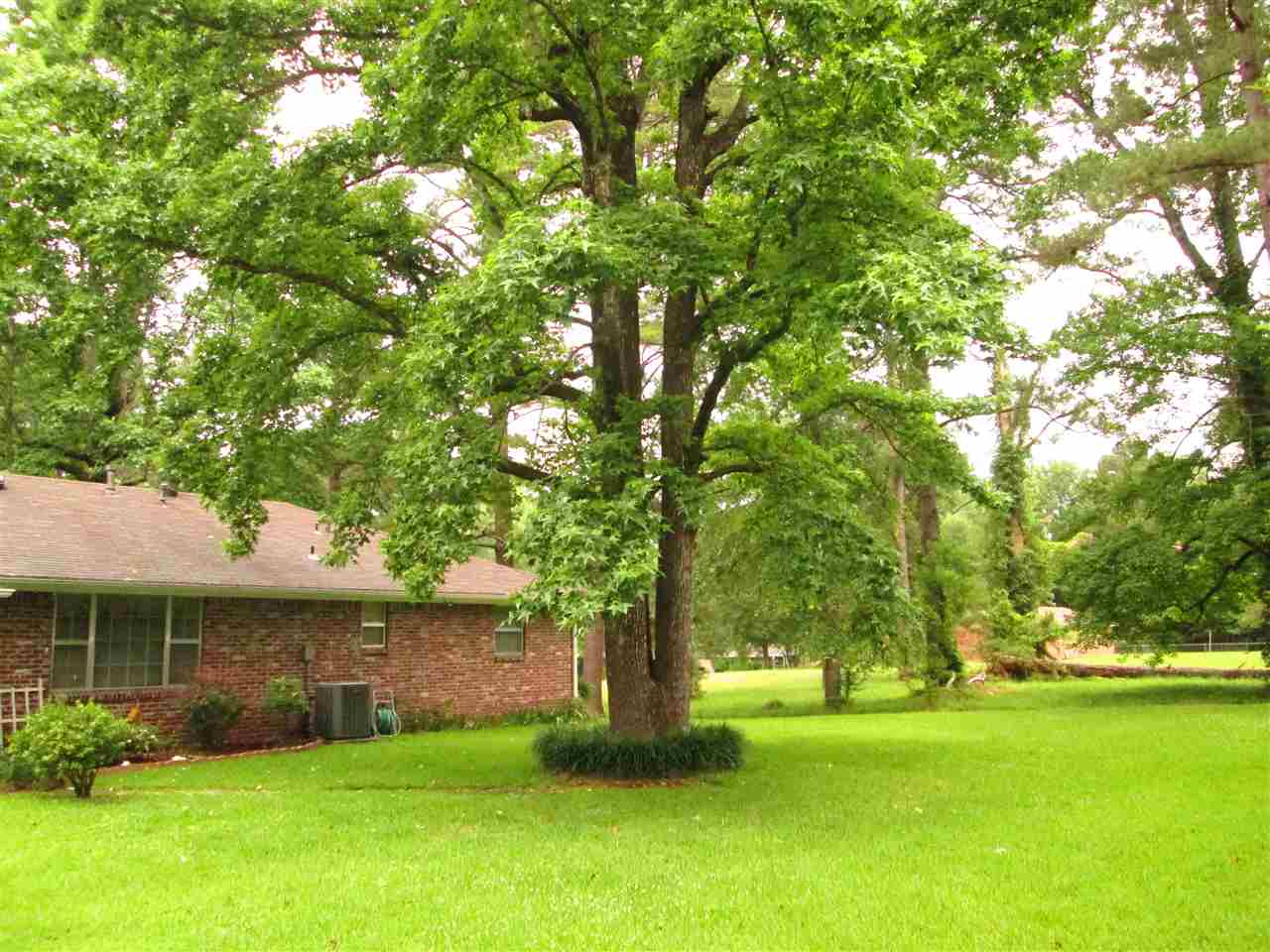 Suburbia - Residential