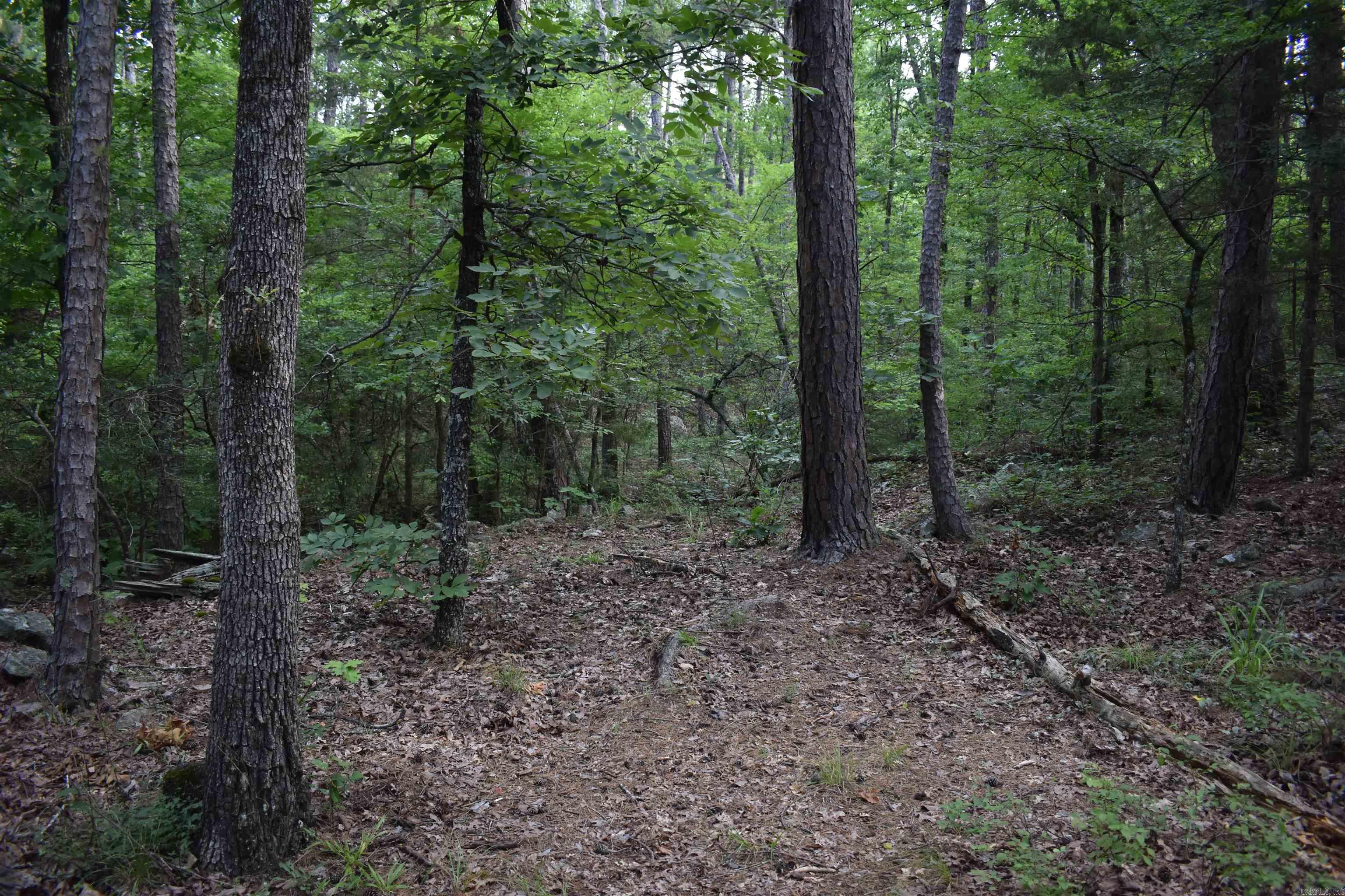 Metes & Bounds - Land