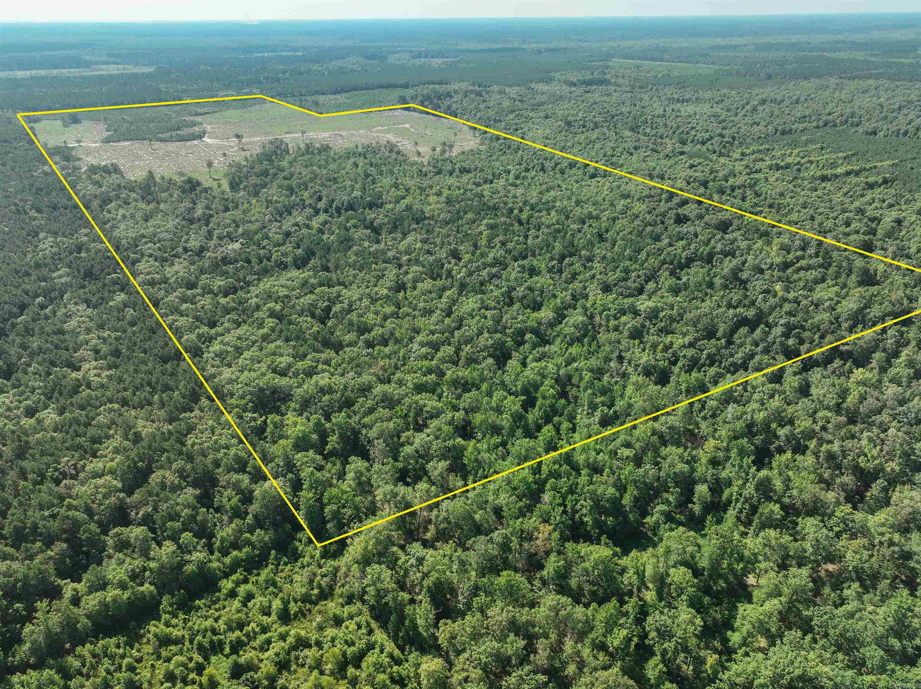 Located just south of Sparkman in Dallas County, this 380-acre tract offers a rare combination of diverse timber investment and prime wildlife habitat. With approximately 236 acres of mature, marketable hardwoods—predominantly oak—this property provides both immediate income potential and long-term value. The remaining 144 acres consist of bedded and planted pine plantations, ranging in age from 3 to 15 years, offering a well-staged timber rotation for future harvests and returns. Interior logging roads offer excellent access throughout, making this a turnkey tract for land investors or recreational buyers. From a wildlife management perspective, the balance of mast-producing hardwoods and regenerating pine stands creates ideal conditions for whitetail deer and wild turkey. The recent pine plantings have opened up opportunities for food plot development, sanctuary establishment, and edge habitat creation. These younger stands provide excellent bedding cover, while the mature hardwoods produce reliable fall forage. With thoughtful stewardship, this property can be tailored into a high-performing recreational and wildlife sanctuary, all while increasing in timber value over time.
