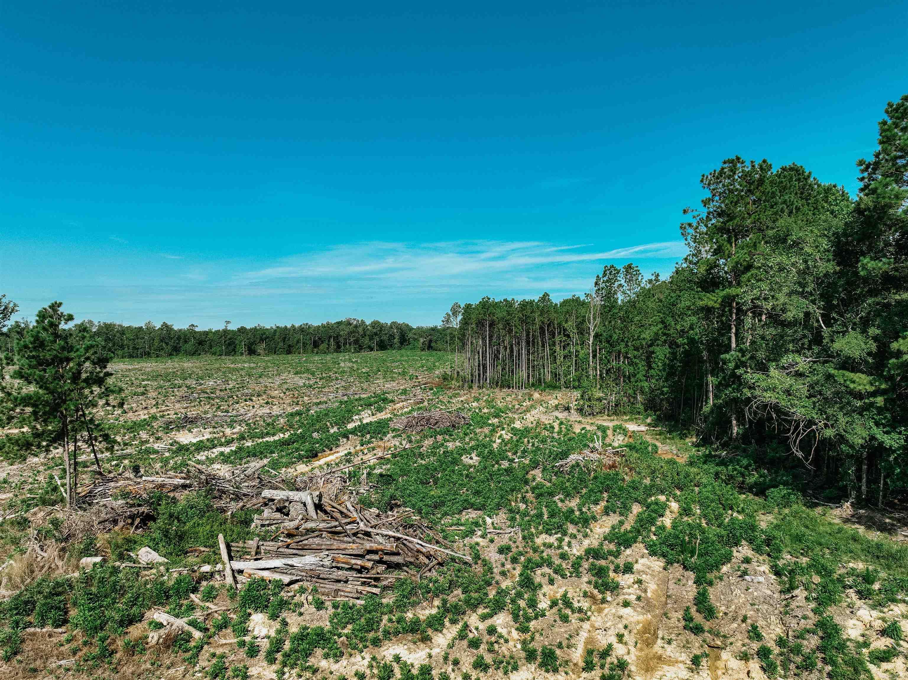 Not in Subdivision - Farm