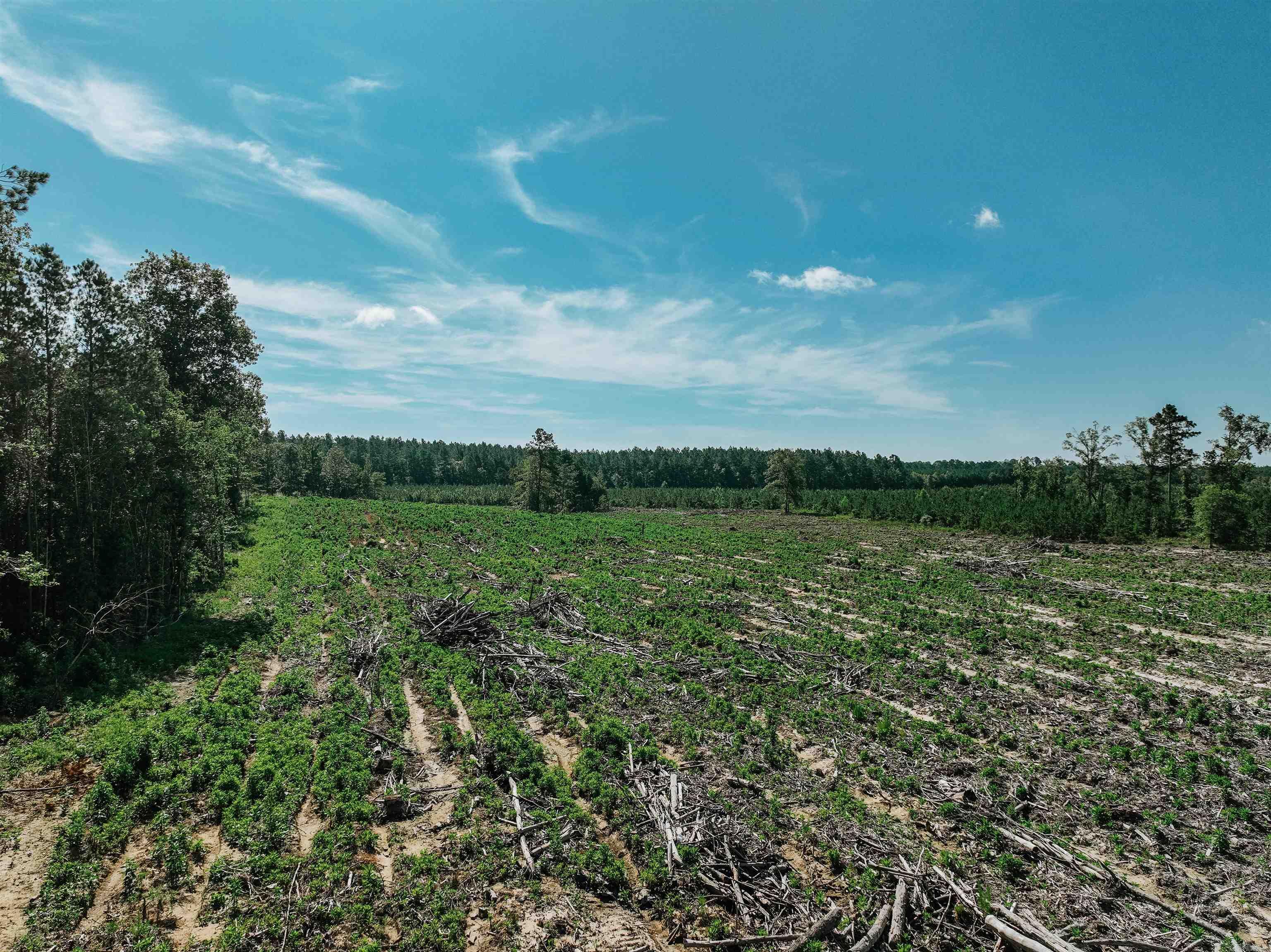 Not in Subdivision - Farm