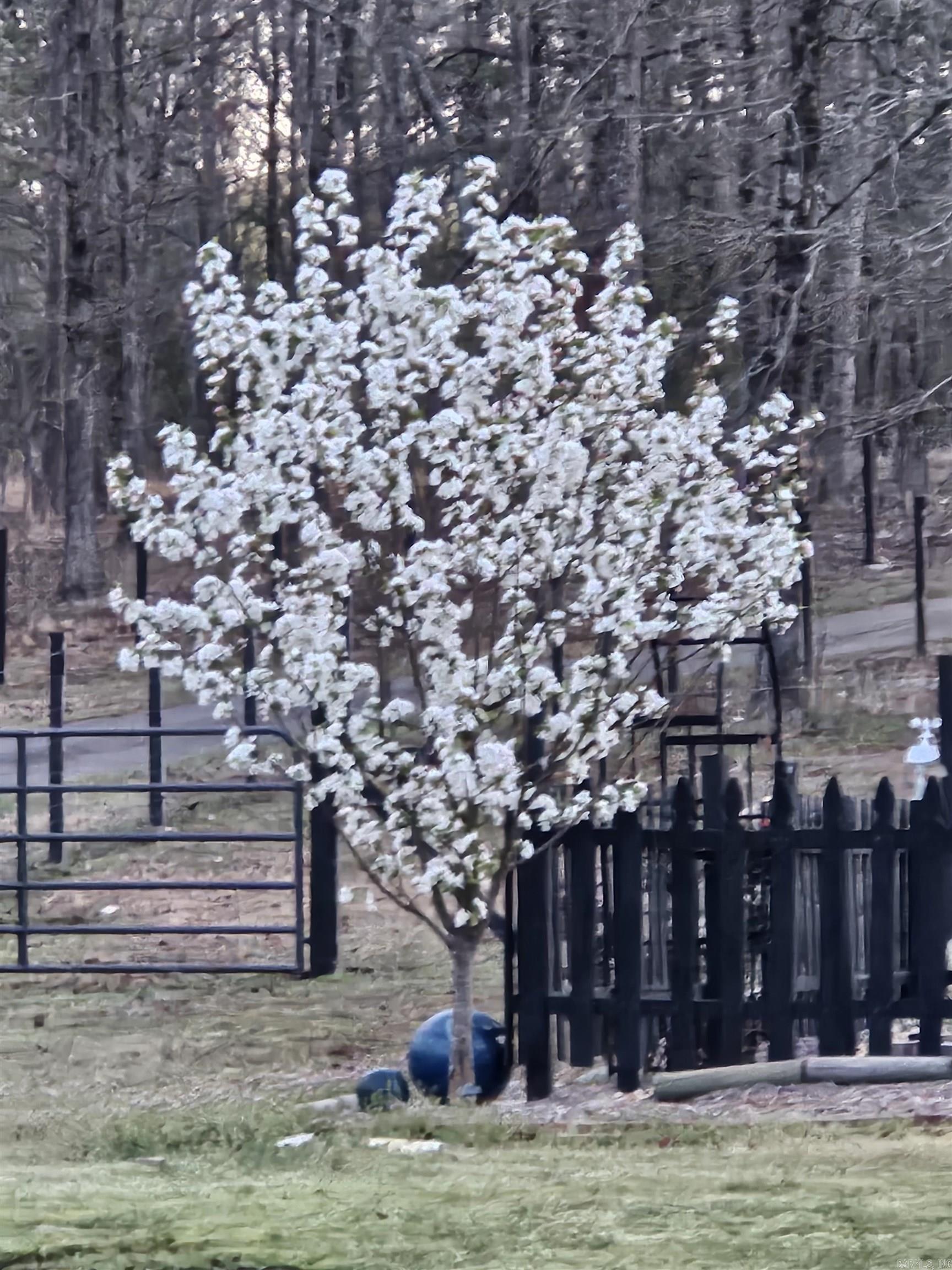 FERNDALE ESTATES - Residential