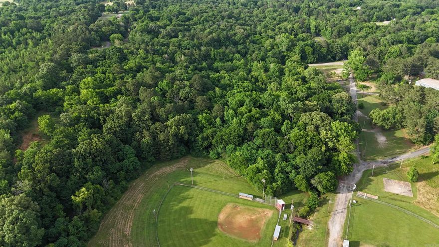 This property is uniquely situated on 12.3 +/- acres within the city limits of Horatio. Whether it’s a private home location surrounded by the large timber or an investment opportunity sitting only a quarter of a mile from Main Street, this versatile property is worth a look.  N. Williams Street (AR-24) splits this property into an 8+/- acre tract and a 4.3 +/- acre tract which the seller is open to separating.  City water and natural gas access.