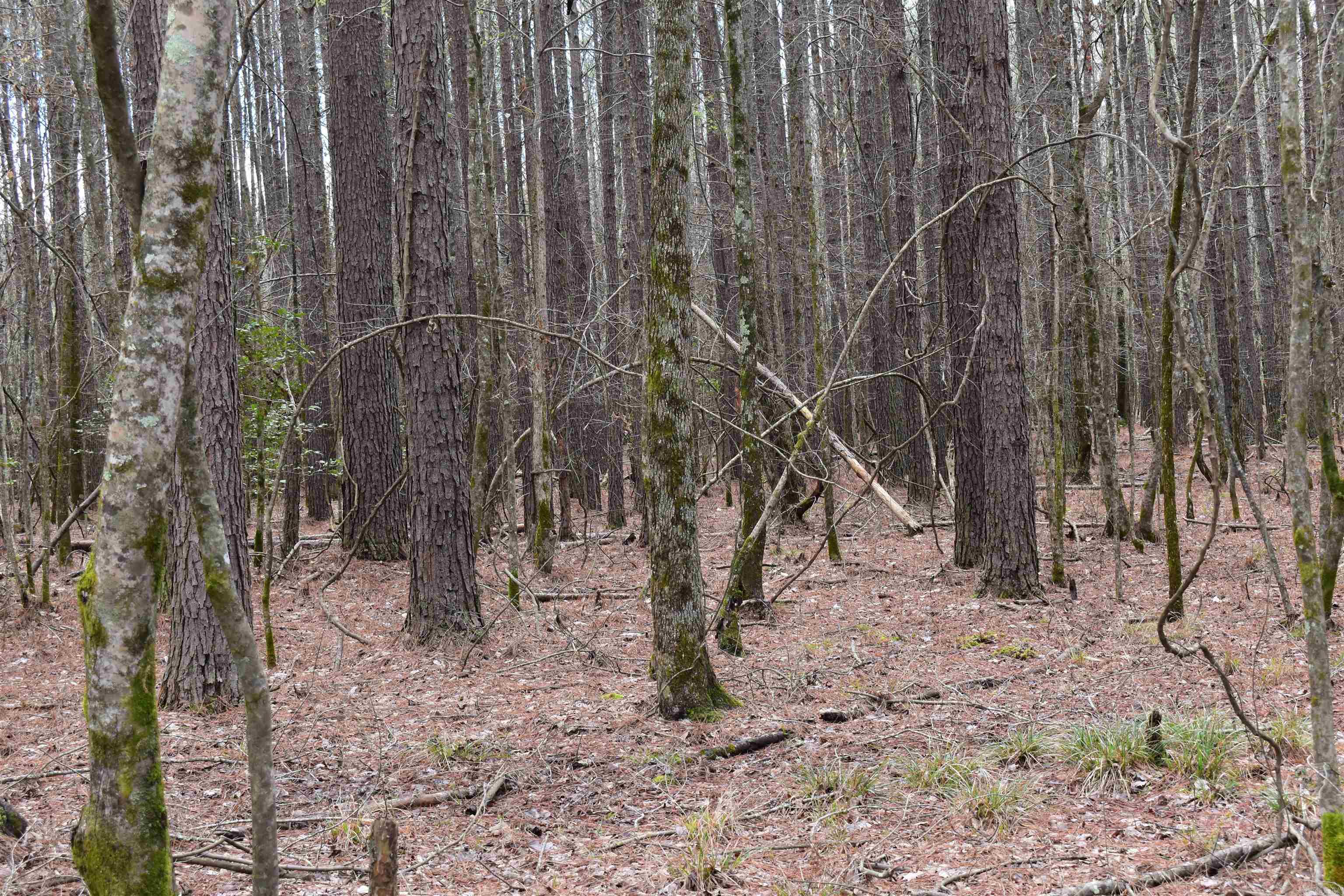 Metes & Bounds - Land