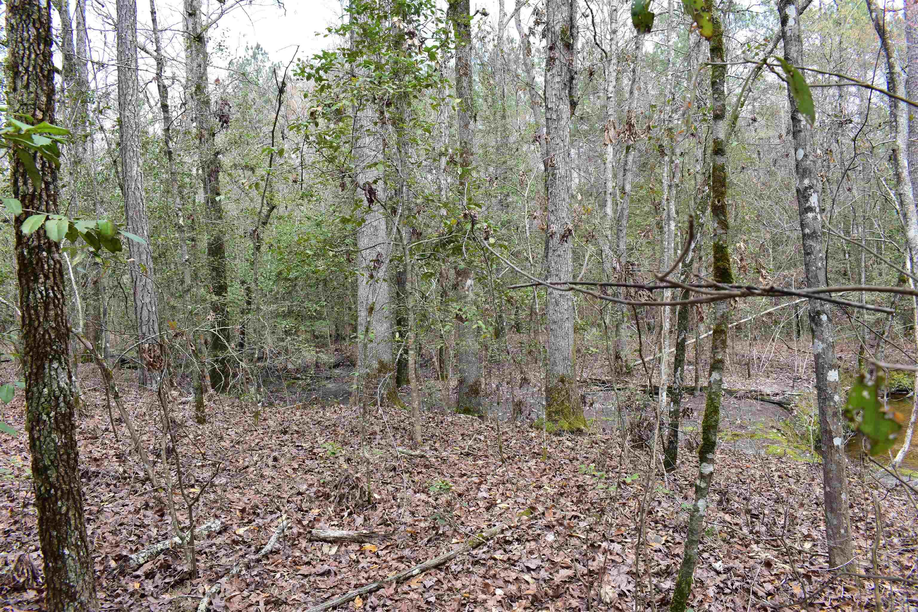 Metes & Bounds - Land