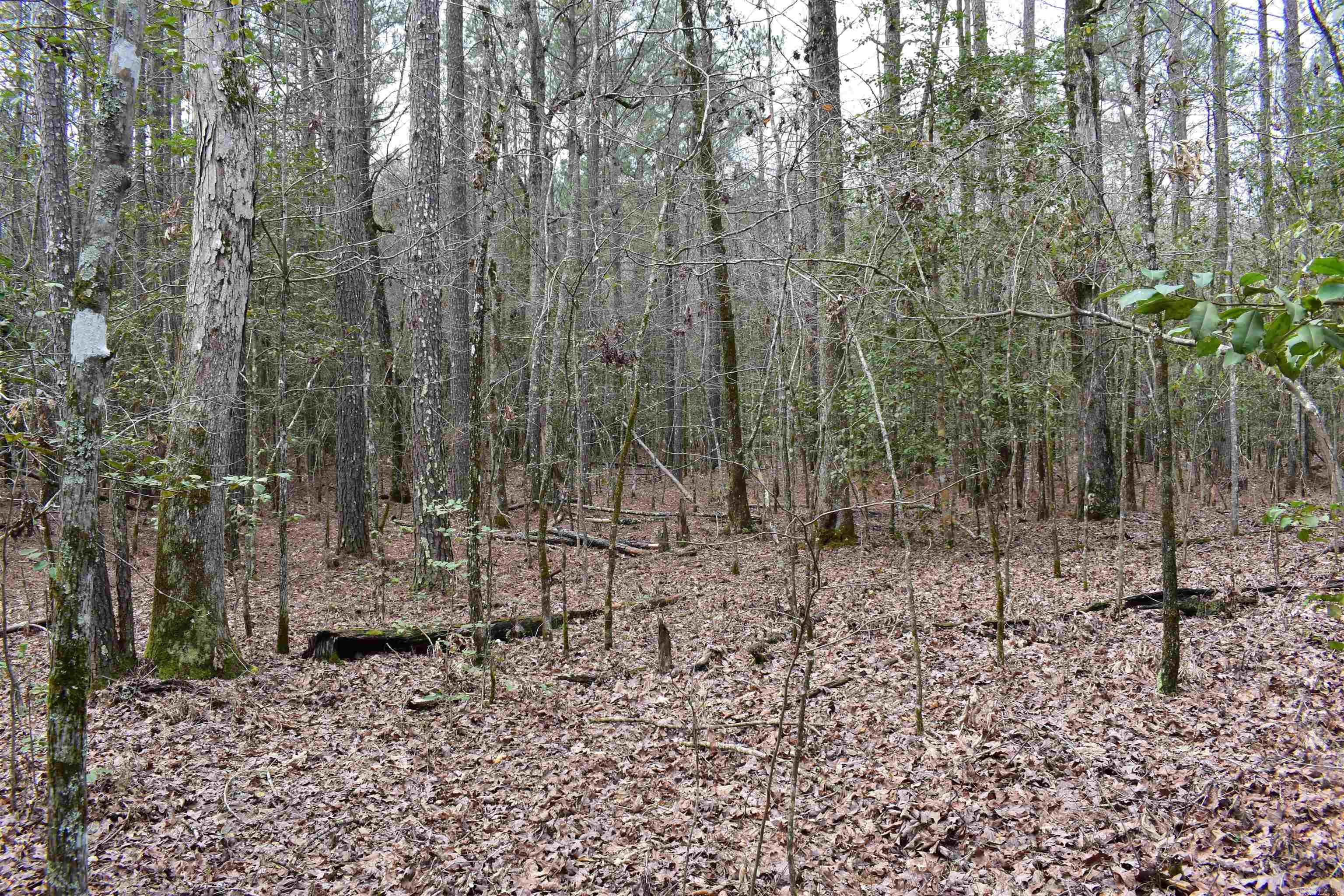 Metes & Bounds - Land