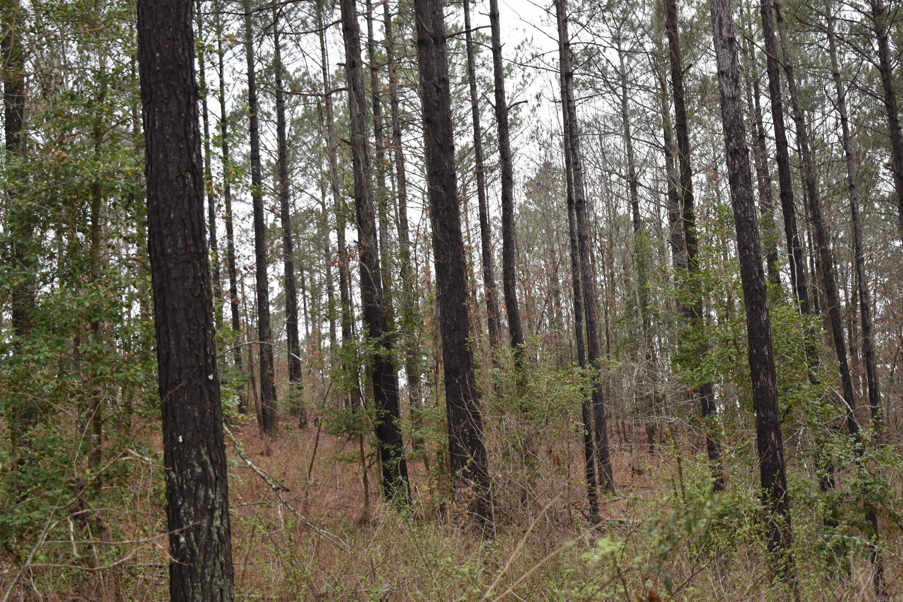 Metes & Bounds - Land