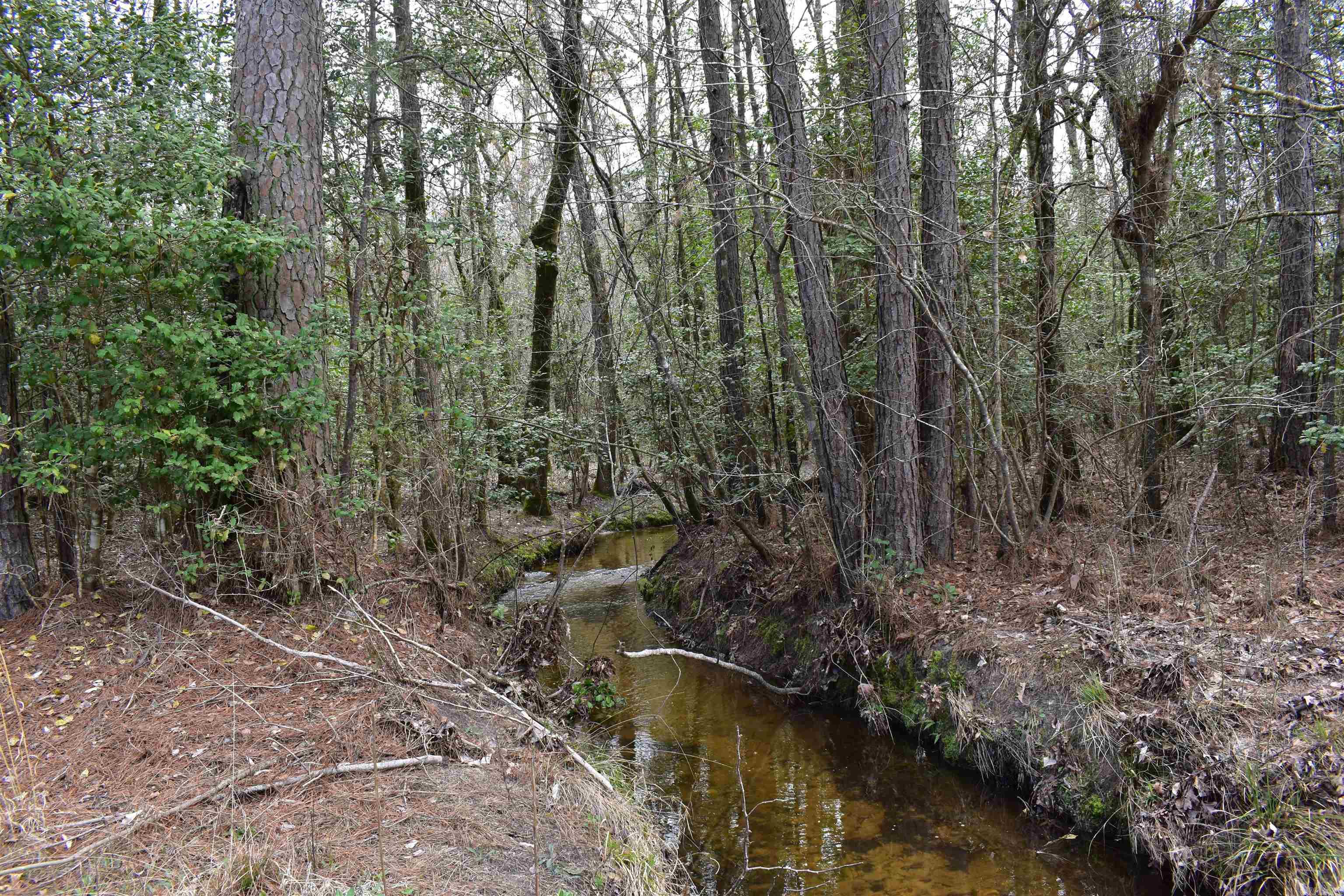 Metes & Bounds - Land