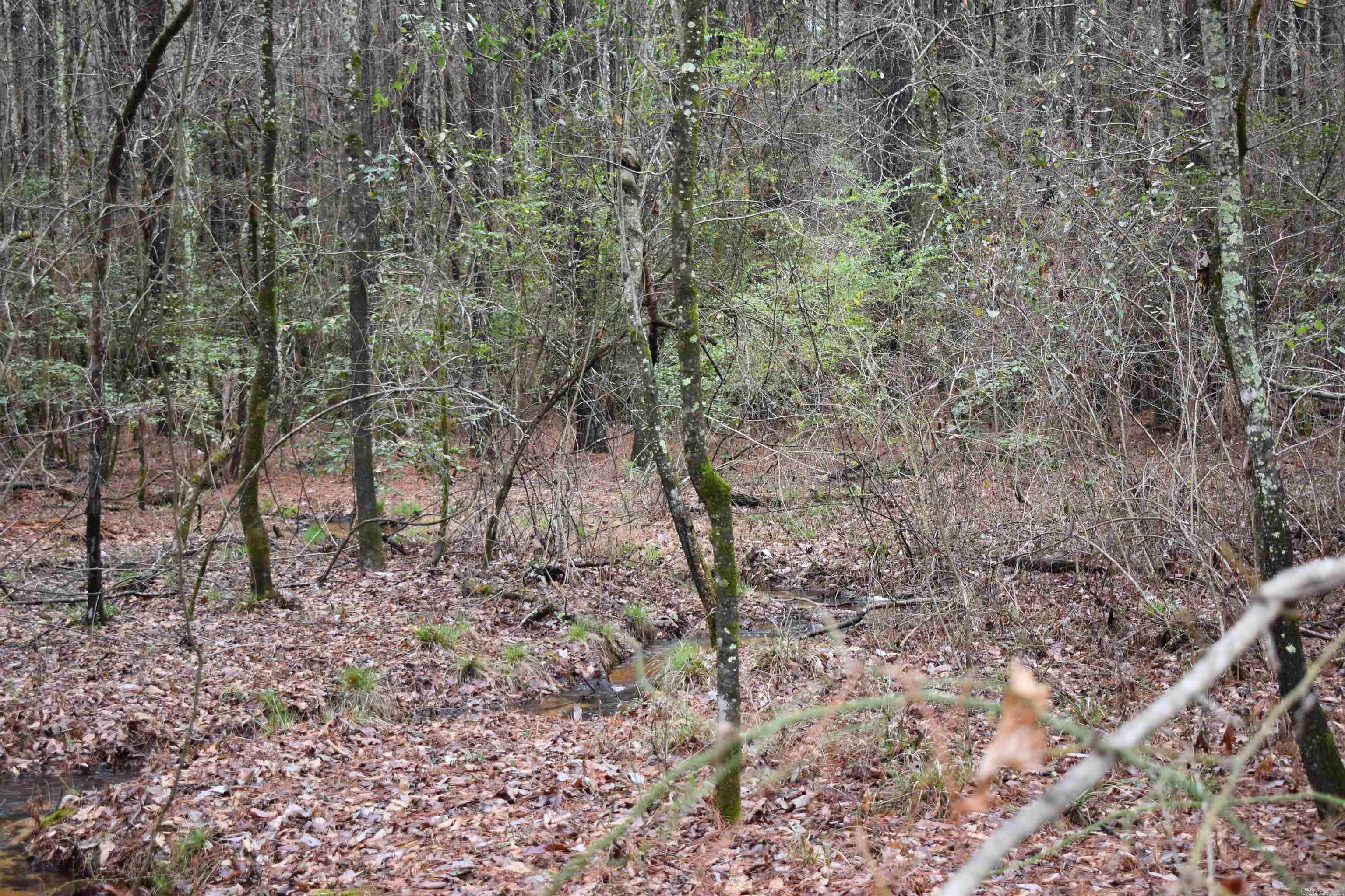 Metes & Bounds - Land