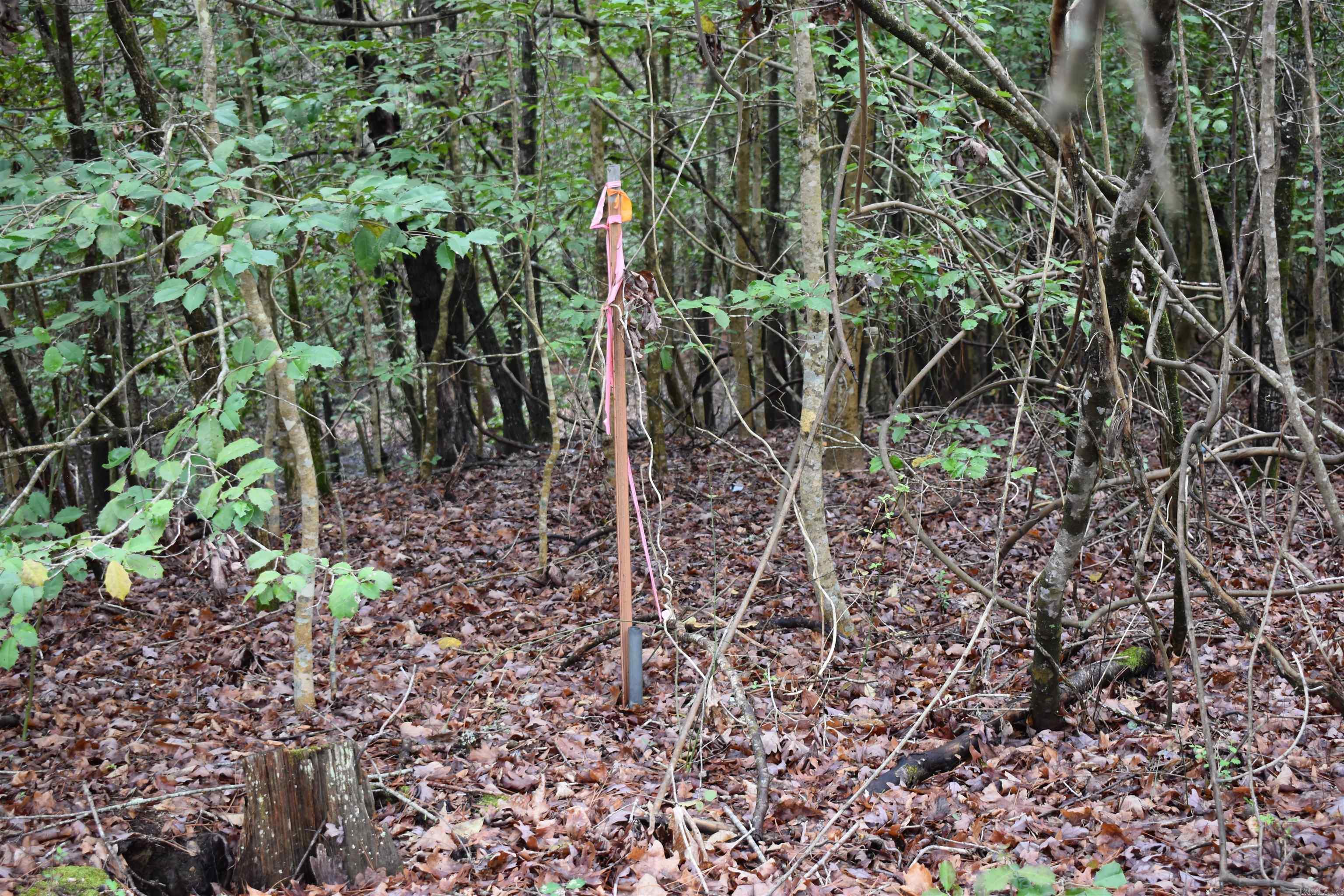 Metes & Bounds - Land