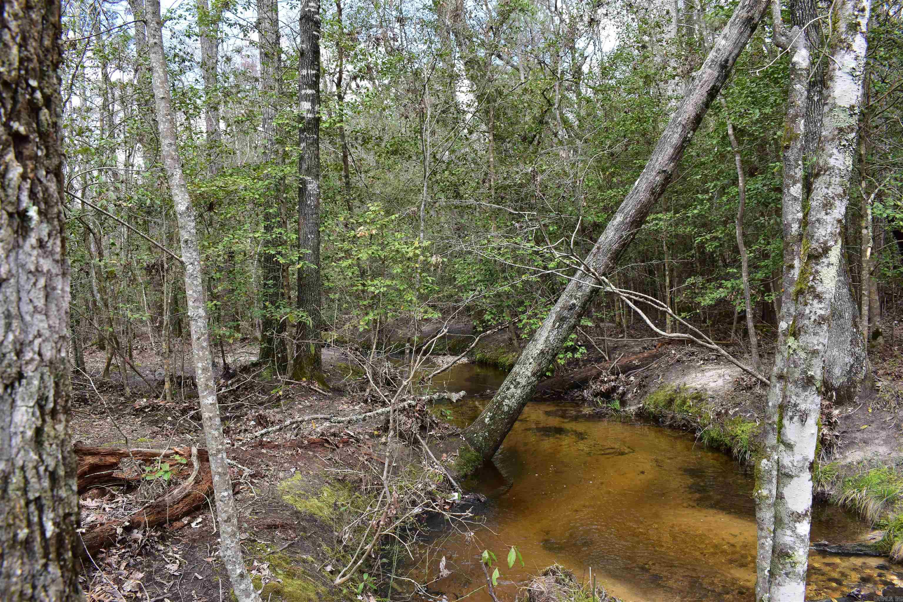 Metes & Bounds - Land