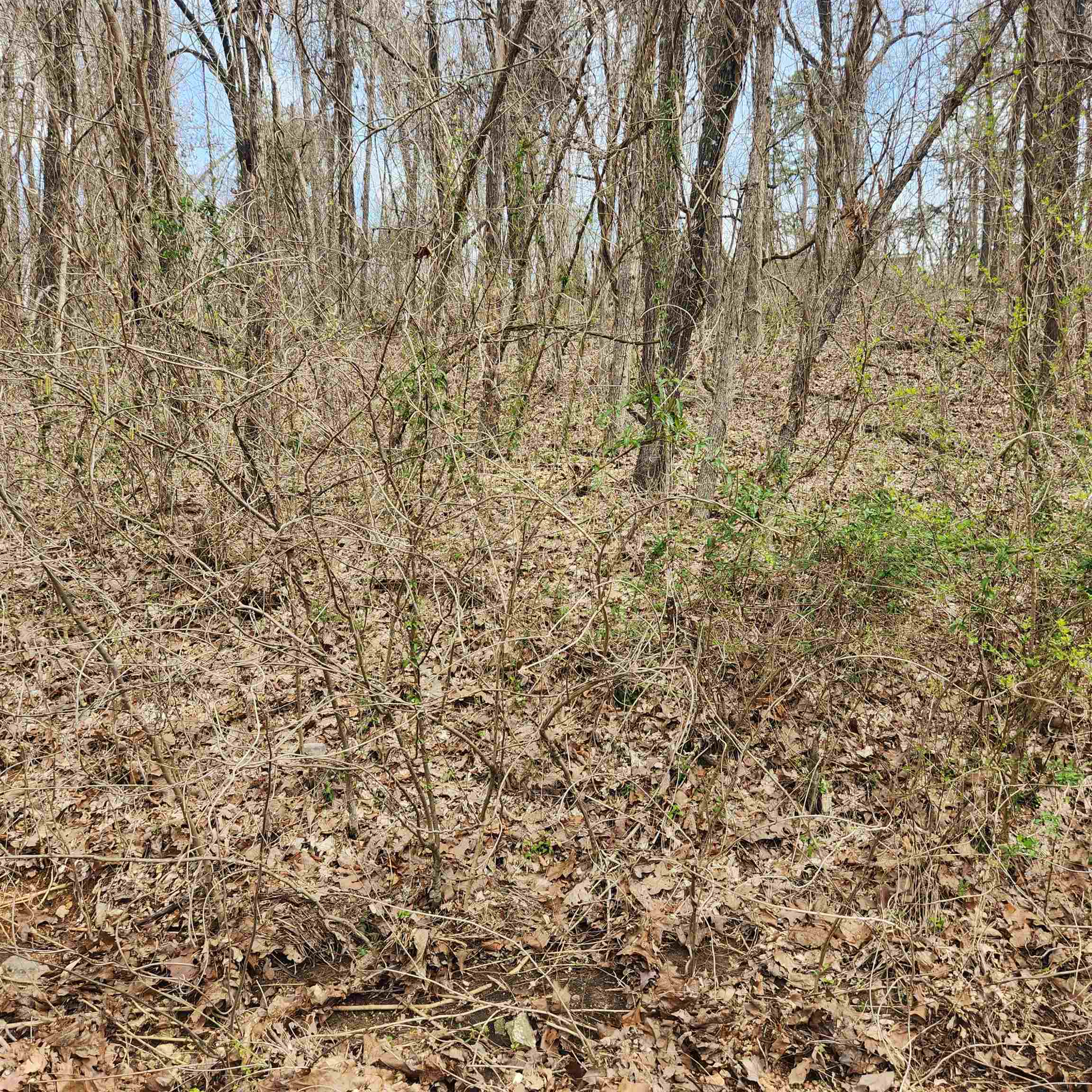 Secluded lot, but still right in the heart of the Village. only one neighbor's house on this road. Wooded lot with lots of trees. It is just a short distance from the town center and water fall from lake Cherokee into Papoose Park. Less than a mile. just over a mile to Lake Thunderbird and the recreational center. Cherokee Village has 7 lakes, 2 golf courses, 2 rec centers and the wonderful Southfork River for your enjoyment.
