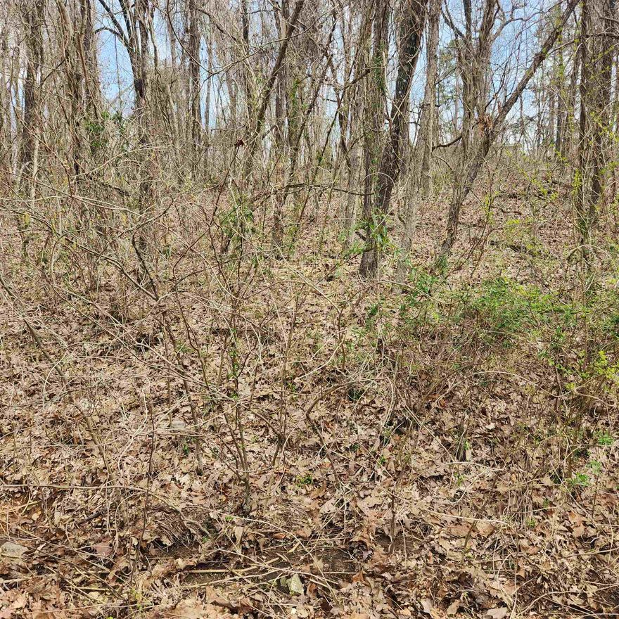 Secluded lot, but still right in the heart of the Village. only one neighbor's house on this road. Wooded lot with lots of trees. It is just a short distance from the town center and water fall from lake Cherokee into Papoose Park. Less than a mile. just over a mile to Lake Thunderbird and the recreational center. Cherokee Village has 7 lakes, 2 golf courses, 2 rec centers and the wonderful Southfork River for your enjoyment.