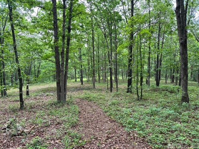 Looking for a small, secluded place to get away? This 6.21 acres is located at the end of the county road, so it is quiet and peaceful. There are deer, bear, turkey and plenty of squirrels roaming this beautiful hardwood property. There are plenty of white oaks, red oaks and post oaks producing the acorns the wildlife love. There is a single-wide mobile home with a large metal roof covering it with covered front and back porches. This can be used for a weekend getaway or hunting camp. Water, electric and fiber optic internet on site gives you the conveniences you need.