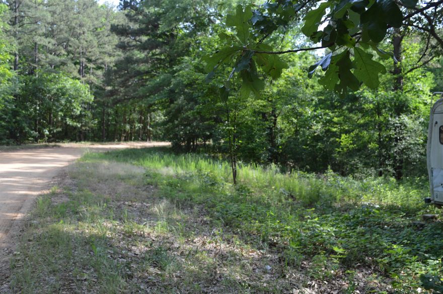 One Acre on Crowley's Ridge near Lake Poinsett State Park