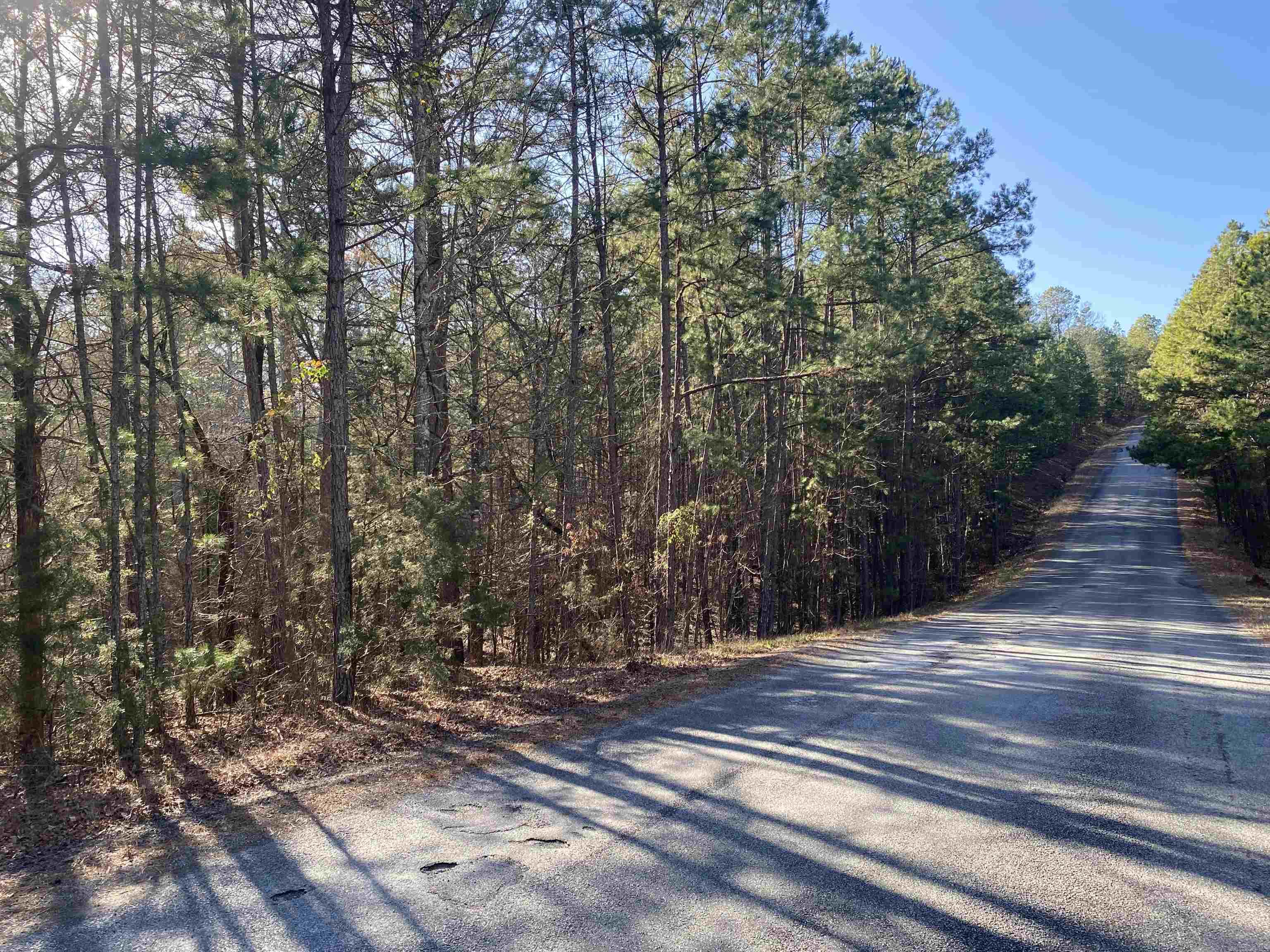 16.61 Acres on Mountain Park Road & Cobalt Bay Road. Mineral rights do not convey. A deed restriction will be put on the property when sold ( No mobile home, travel trailer, motor home, manufactured home or any other type trailer shall be placed or permitted to remain on property for residential use, either temporarily or permanently).